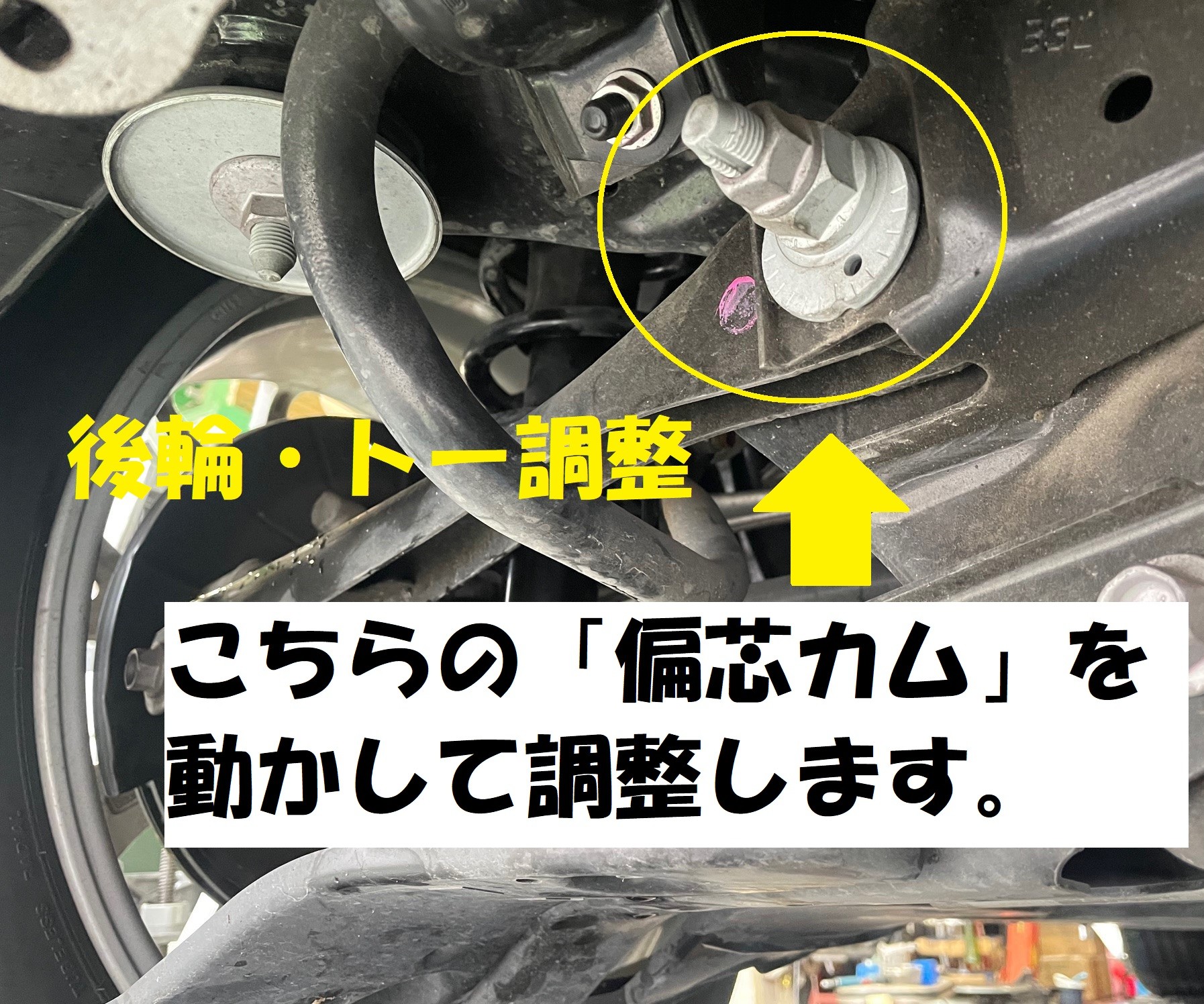 ドアラ「おまもり」40点 りにゅーある情報🐨 ＼ 8/27(水)10:00〜 『ドアラさんの型破りな