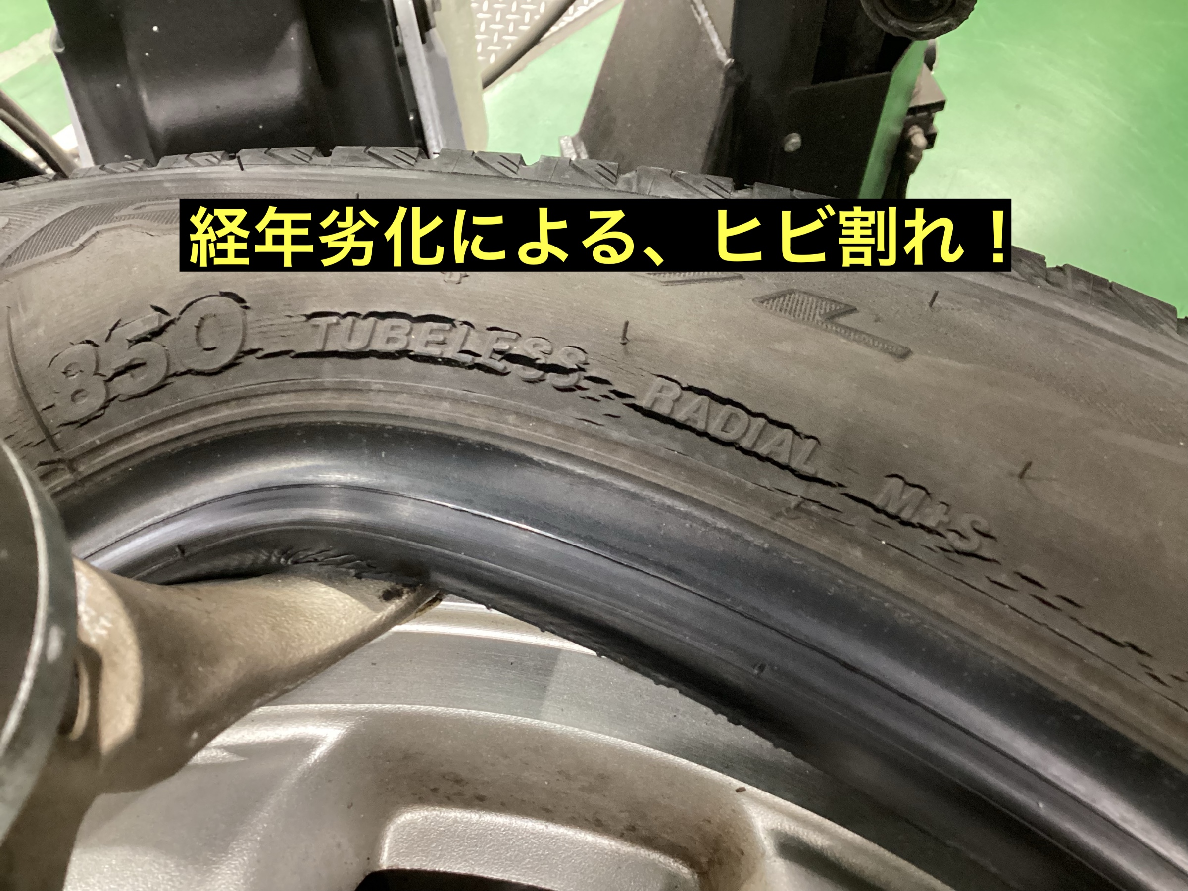 スタッフが撮影