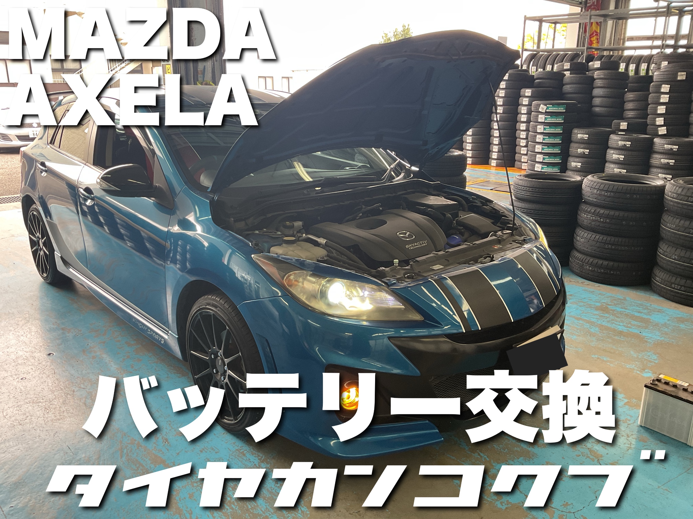 スタッフが撮影した画像