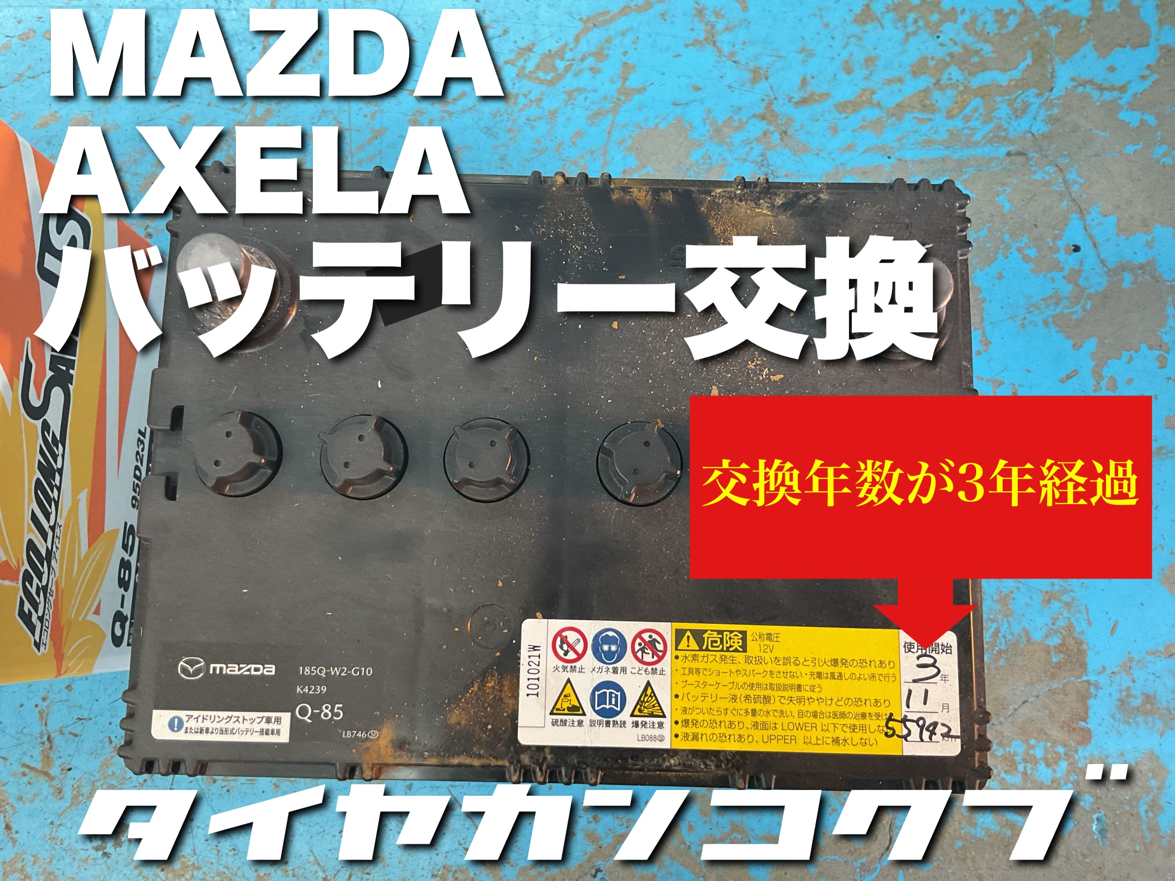 スタッフが撮影した画像