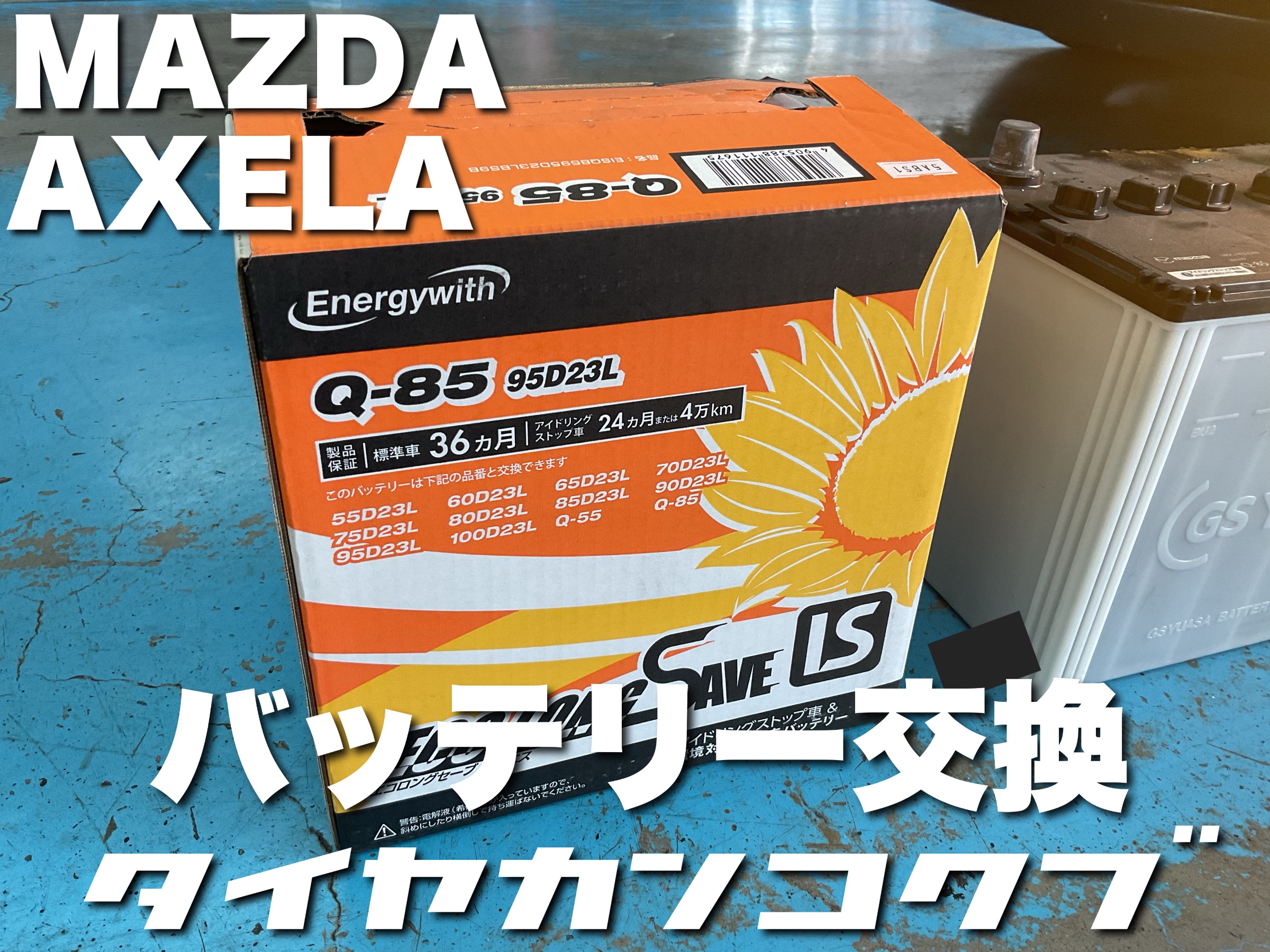 スタッフが撮影した画像