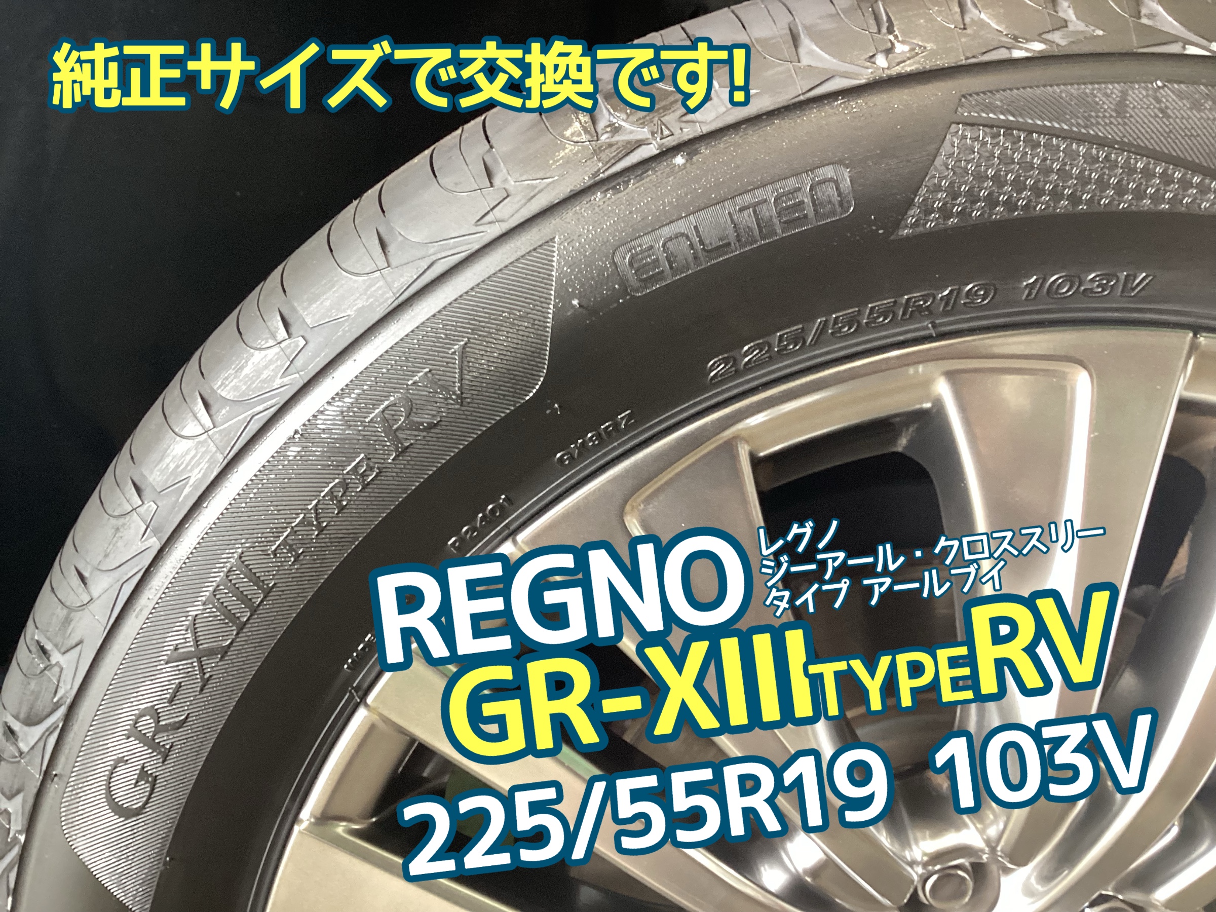 225/55R19