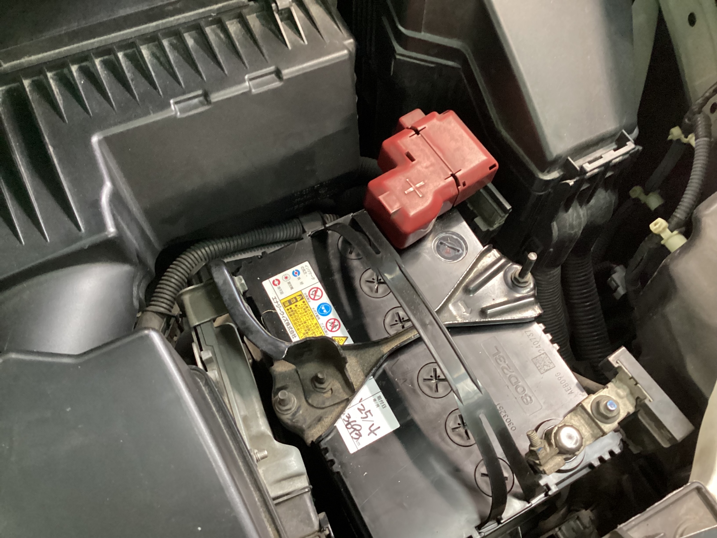 スタッフ撮影分