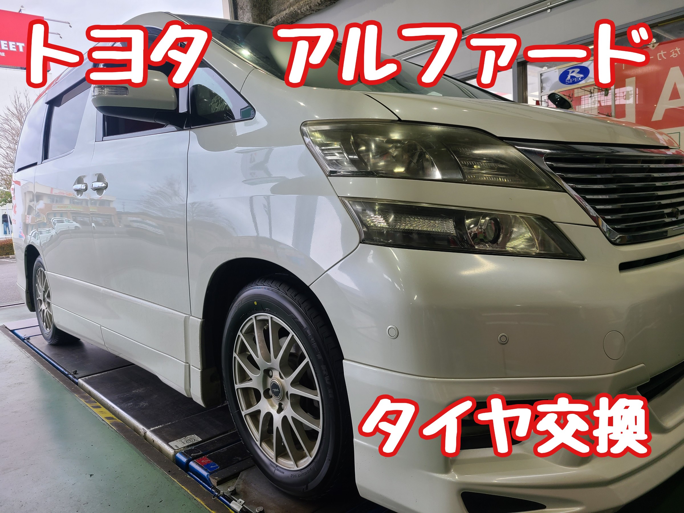 スタッフが撮影しました。