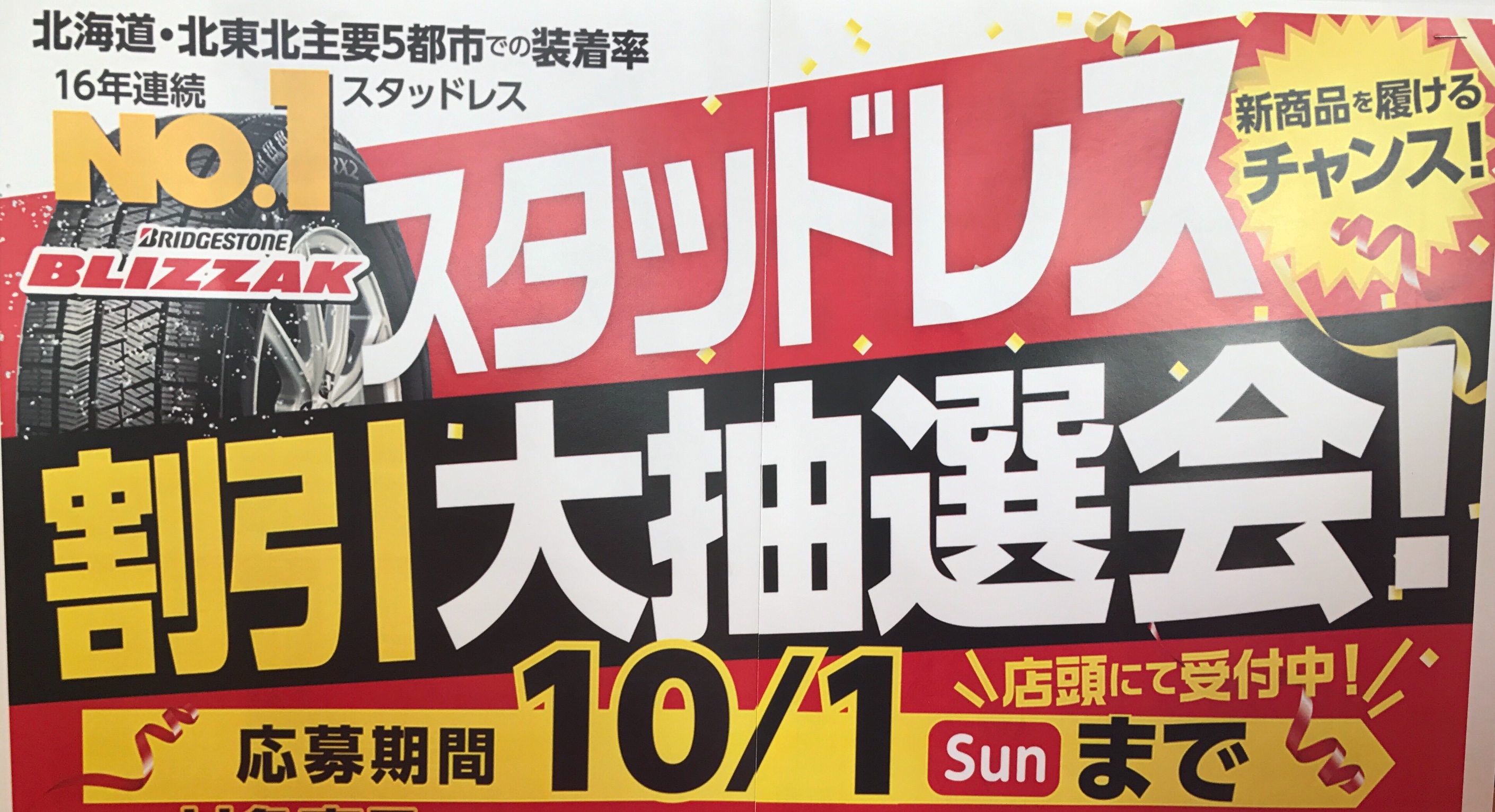 スタッフが撮影した画像です。