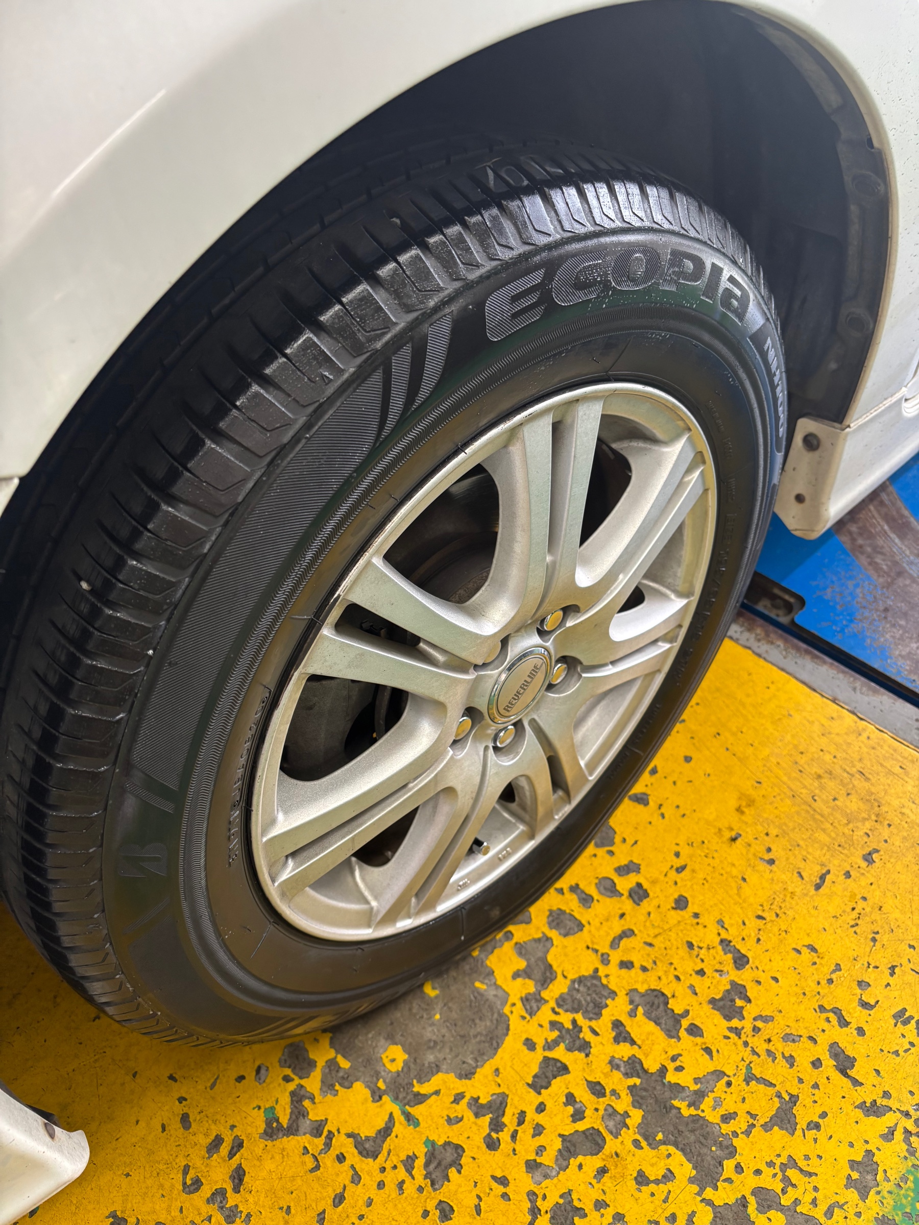 スタッフ撮影です