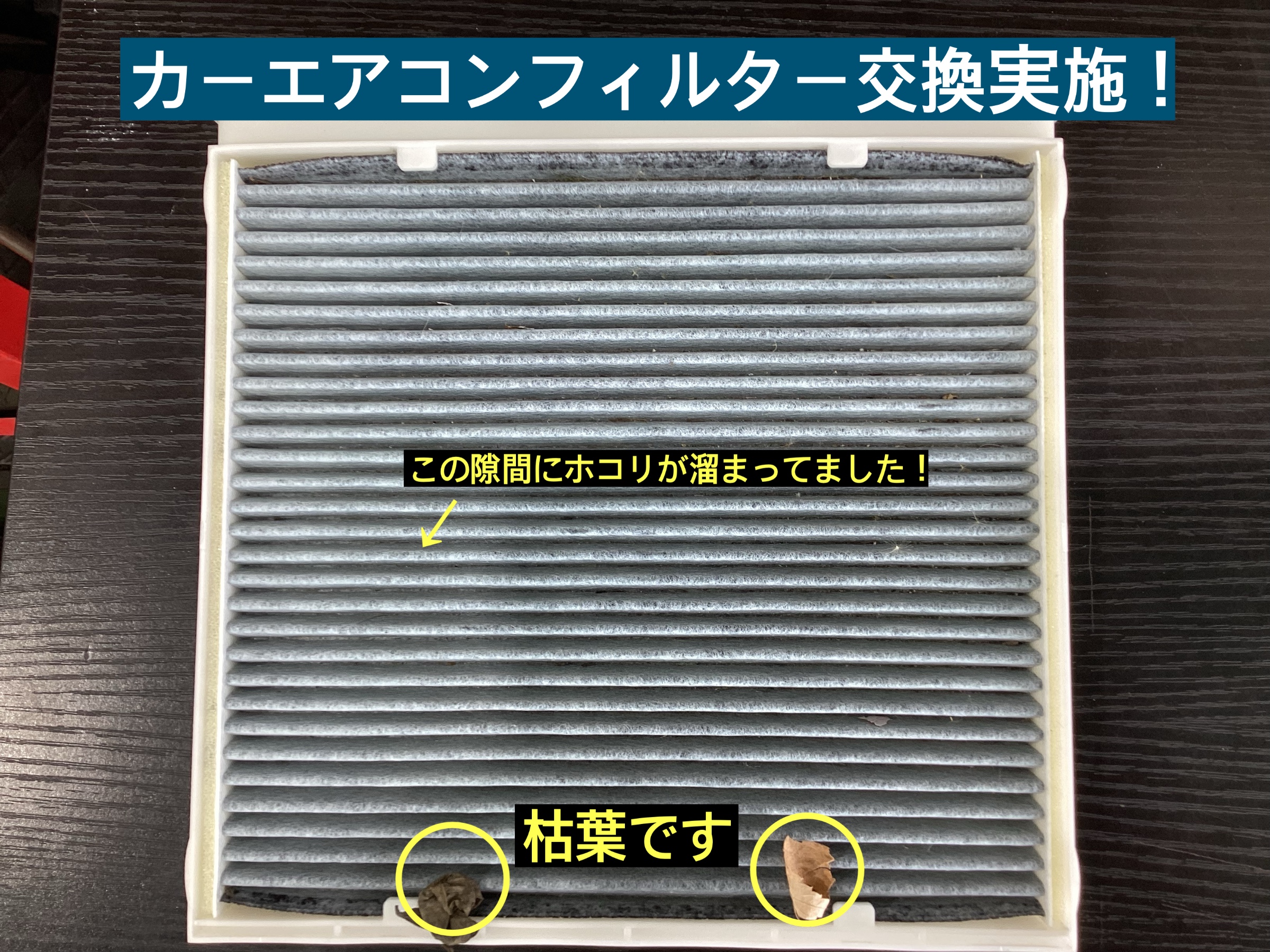 スタッフが撮影