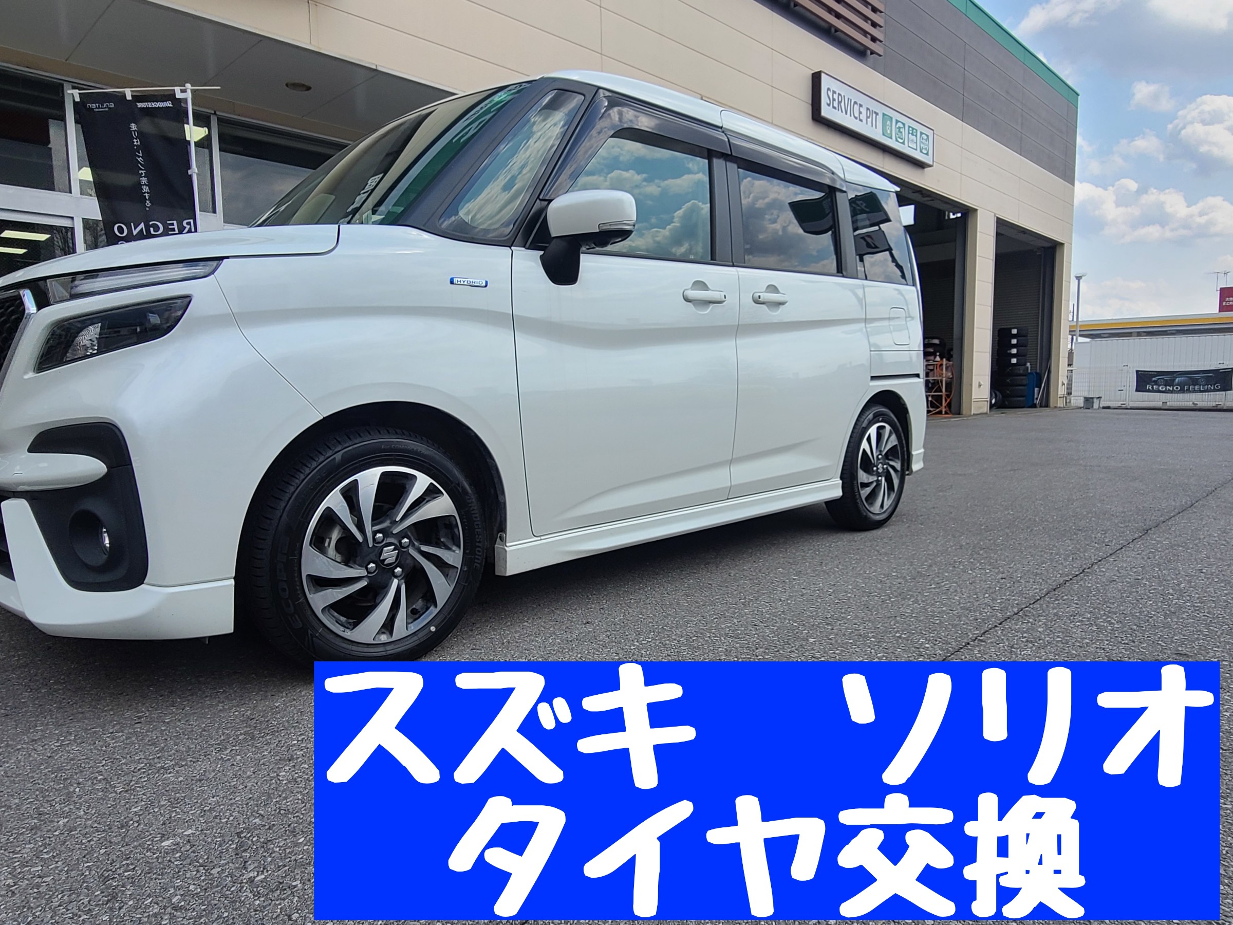 スタッフが撮影しました。