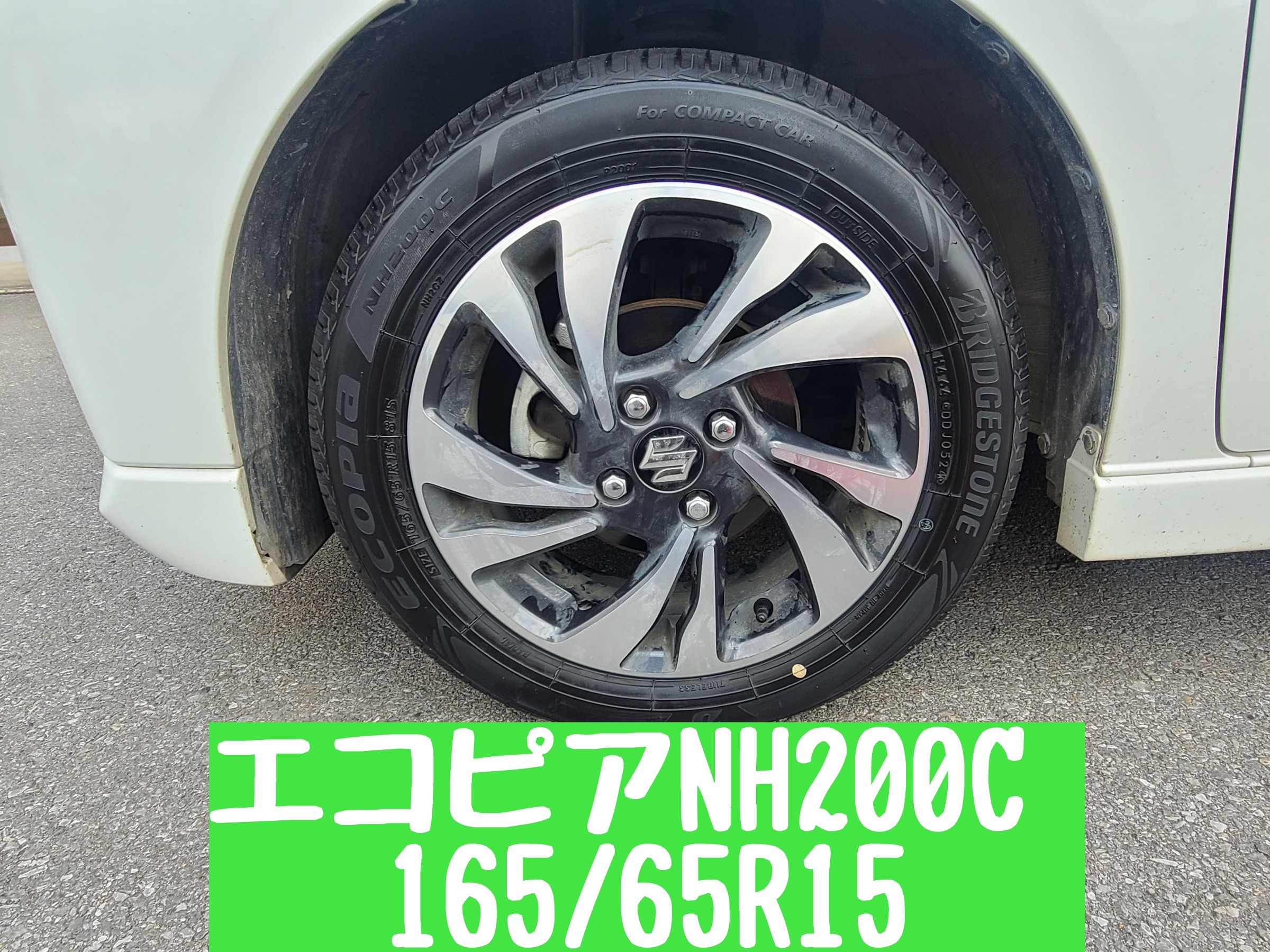 スタッフが撮影しました。