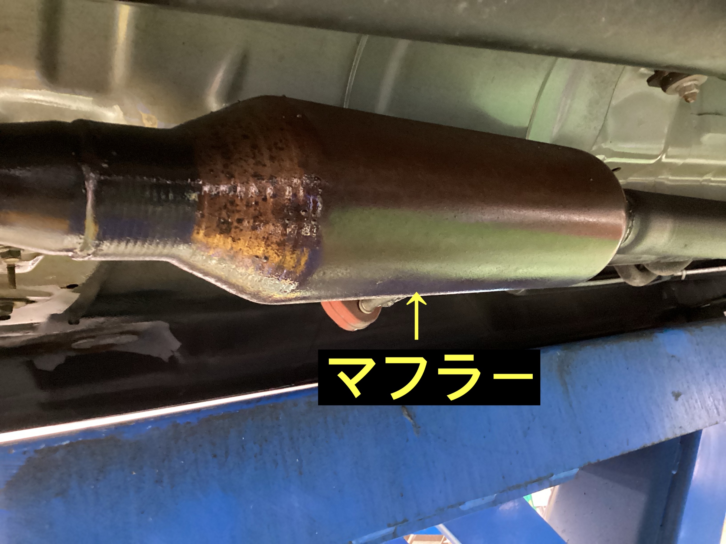 スタッフが撮影