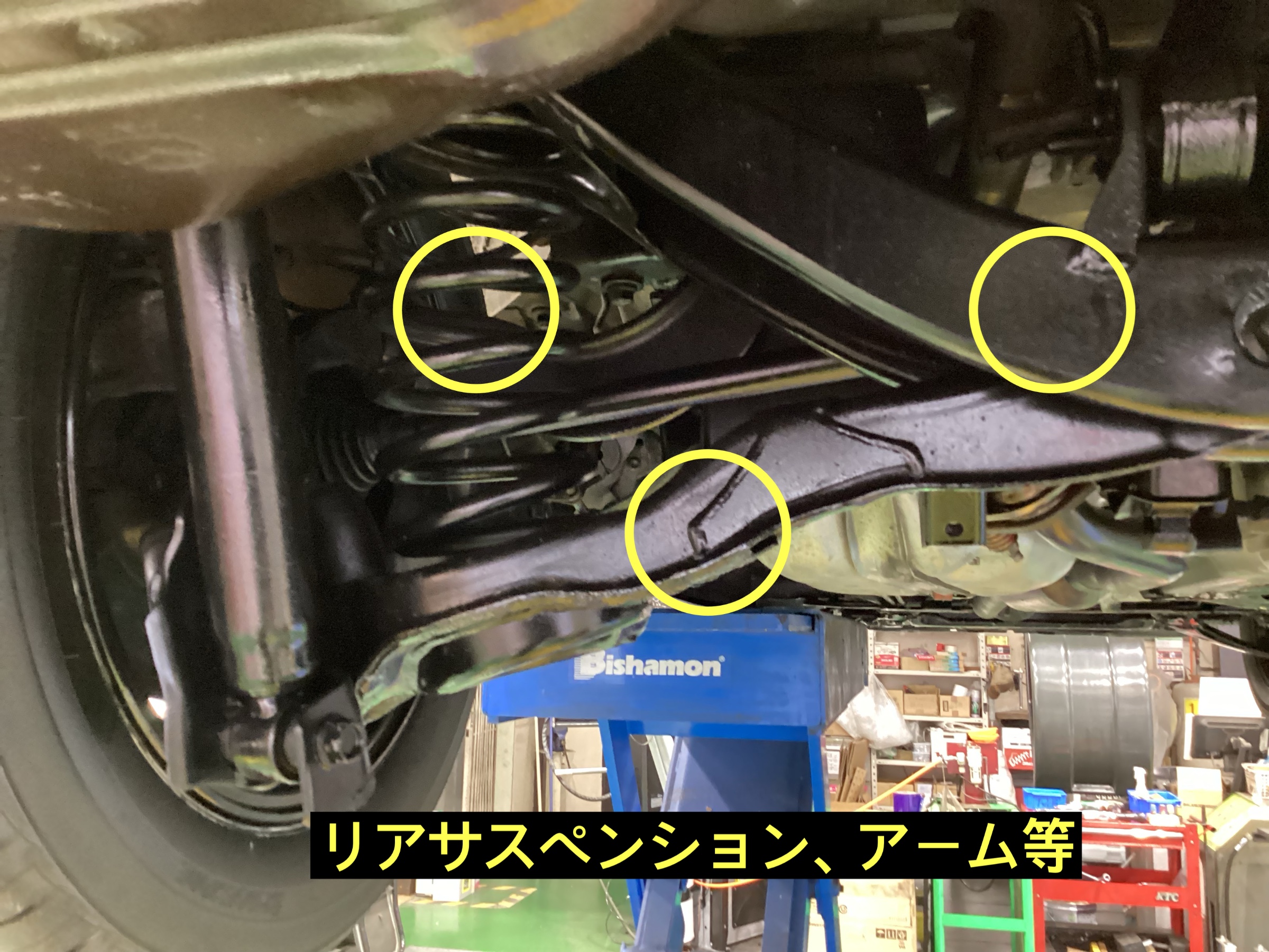 スタッフが撮影