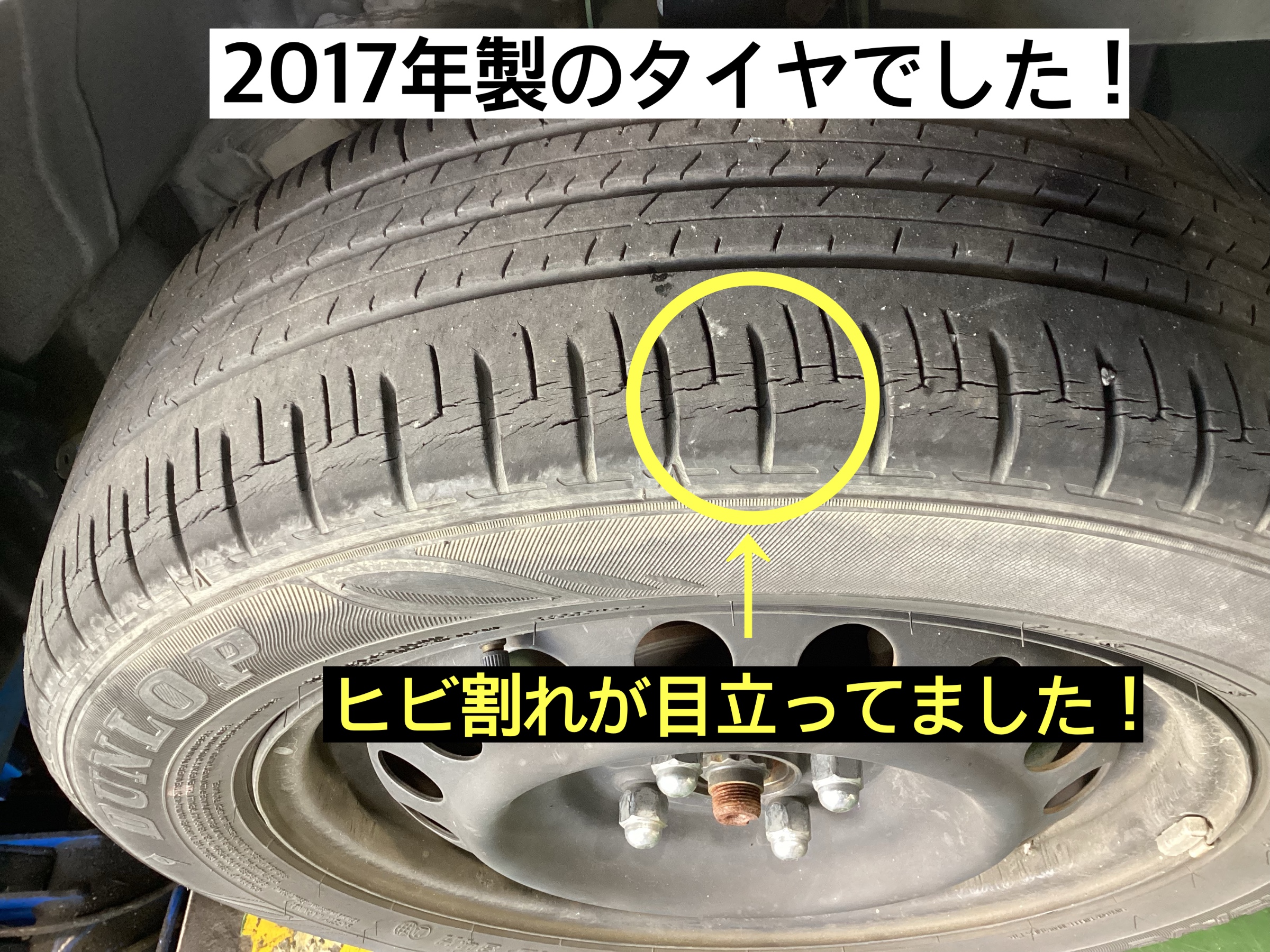 スタッフが撮影