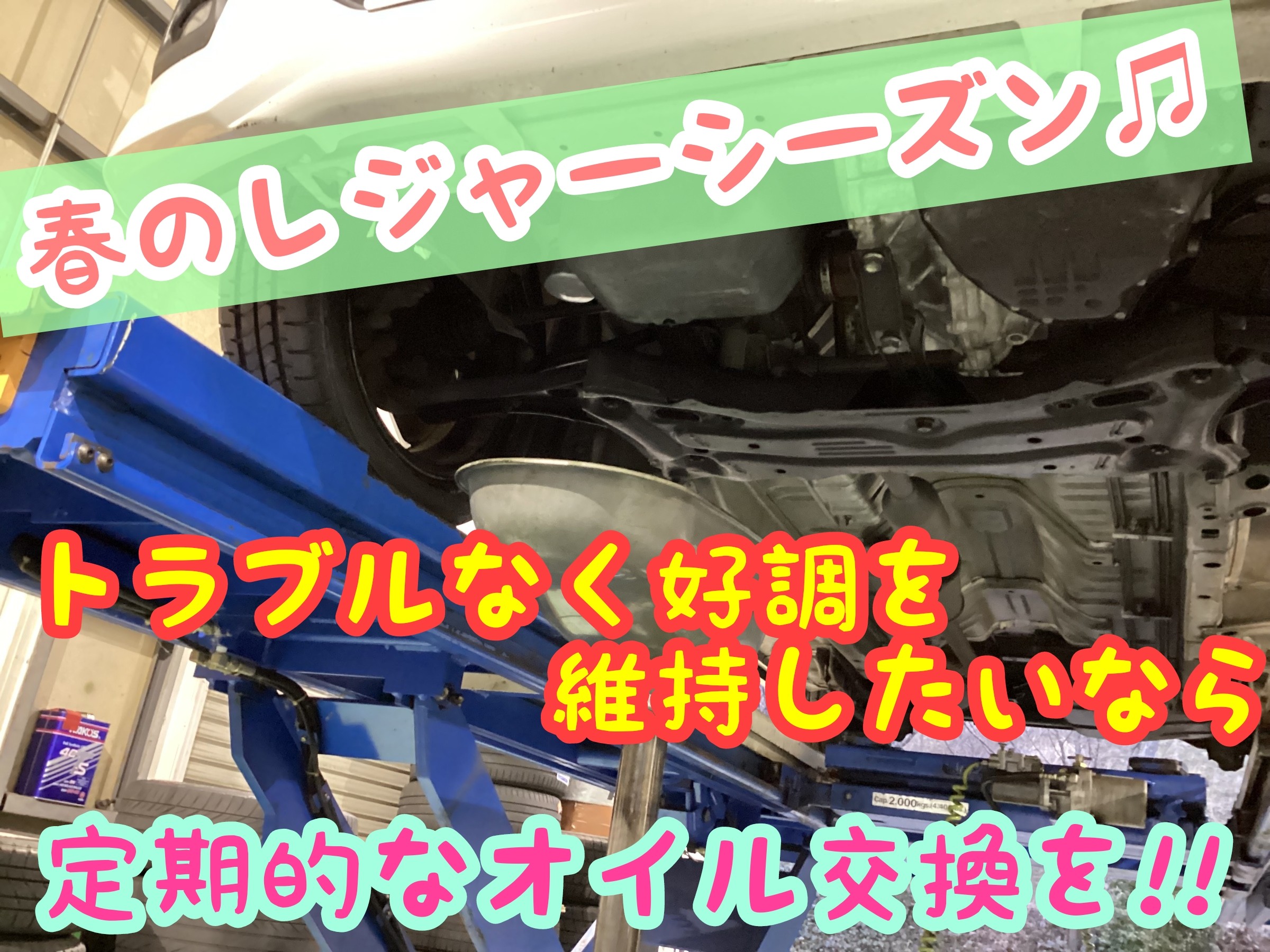 スタッフ