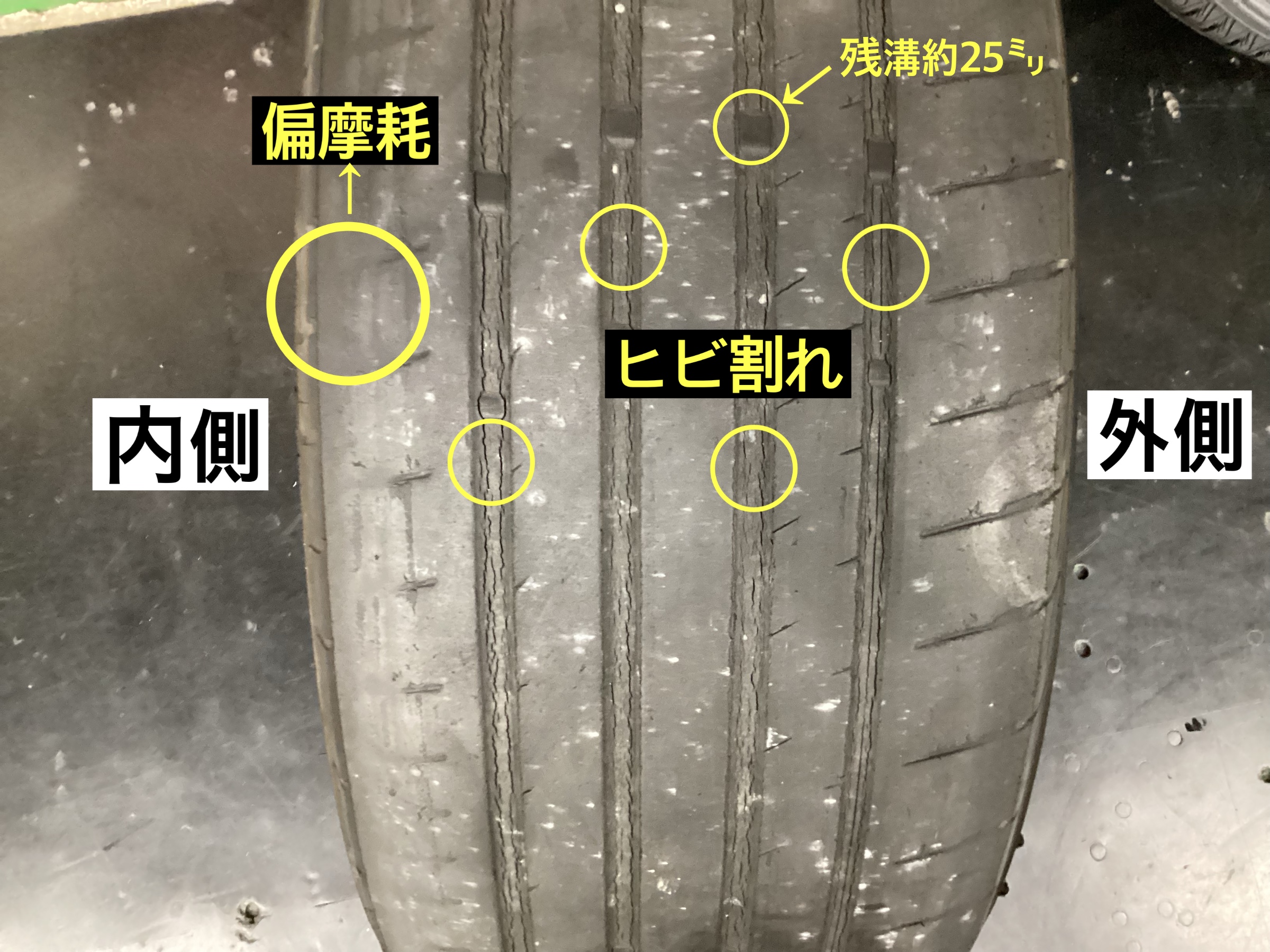 スタッフが撮影