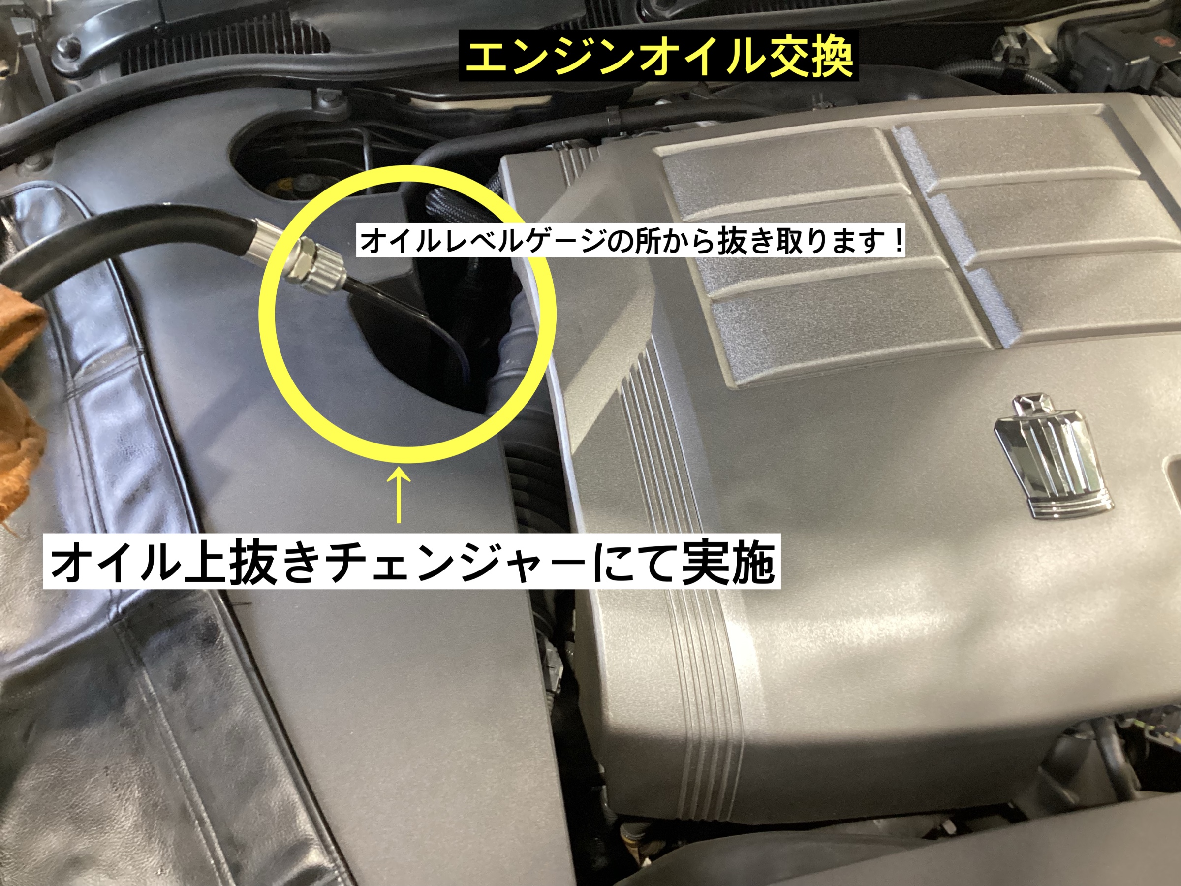 スタッフが撮影