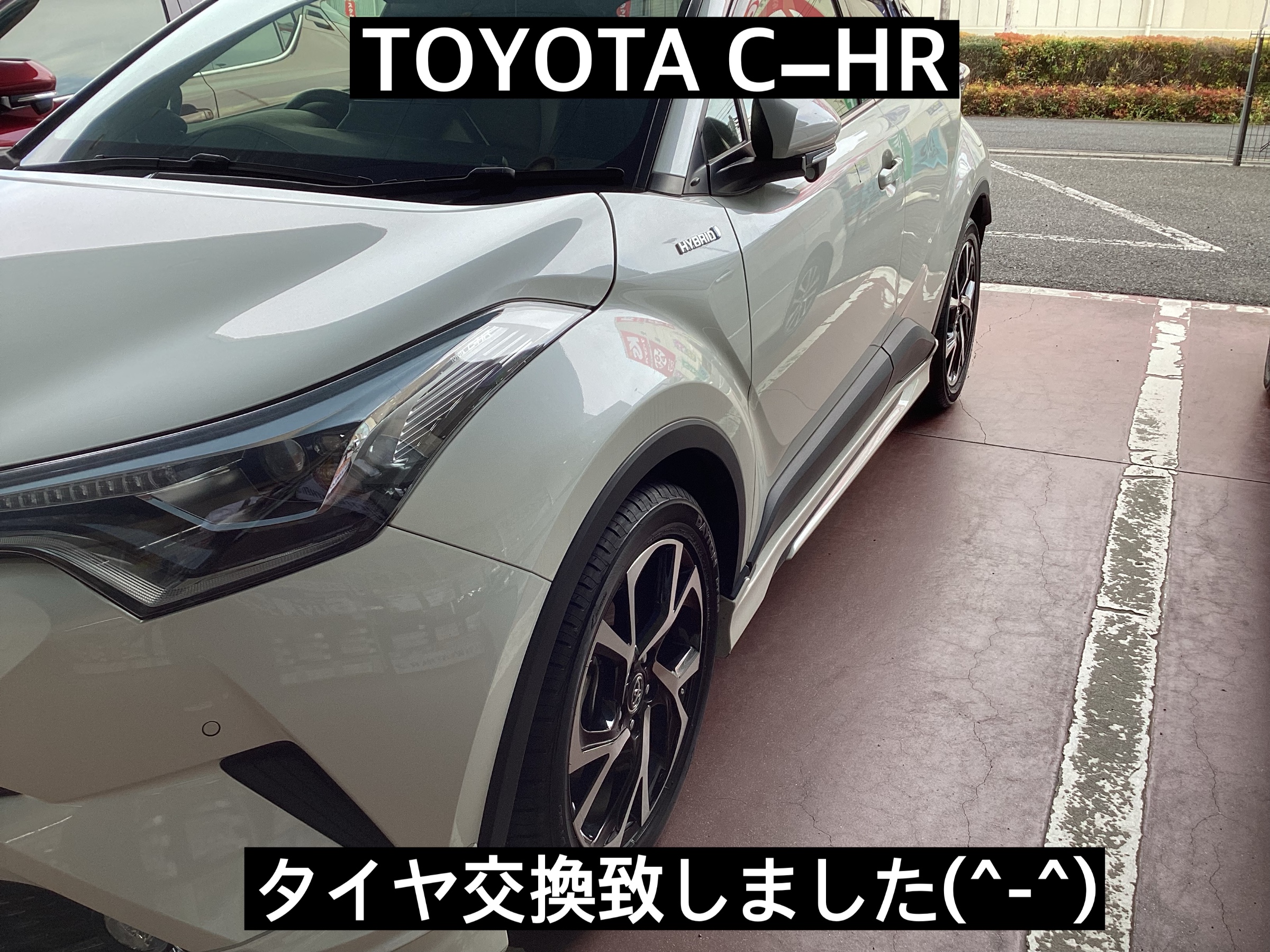 スタッフが撮影