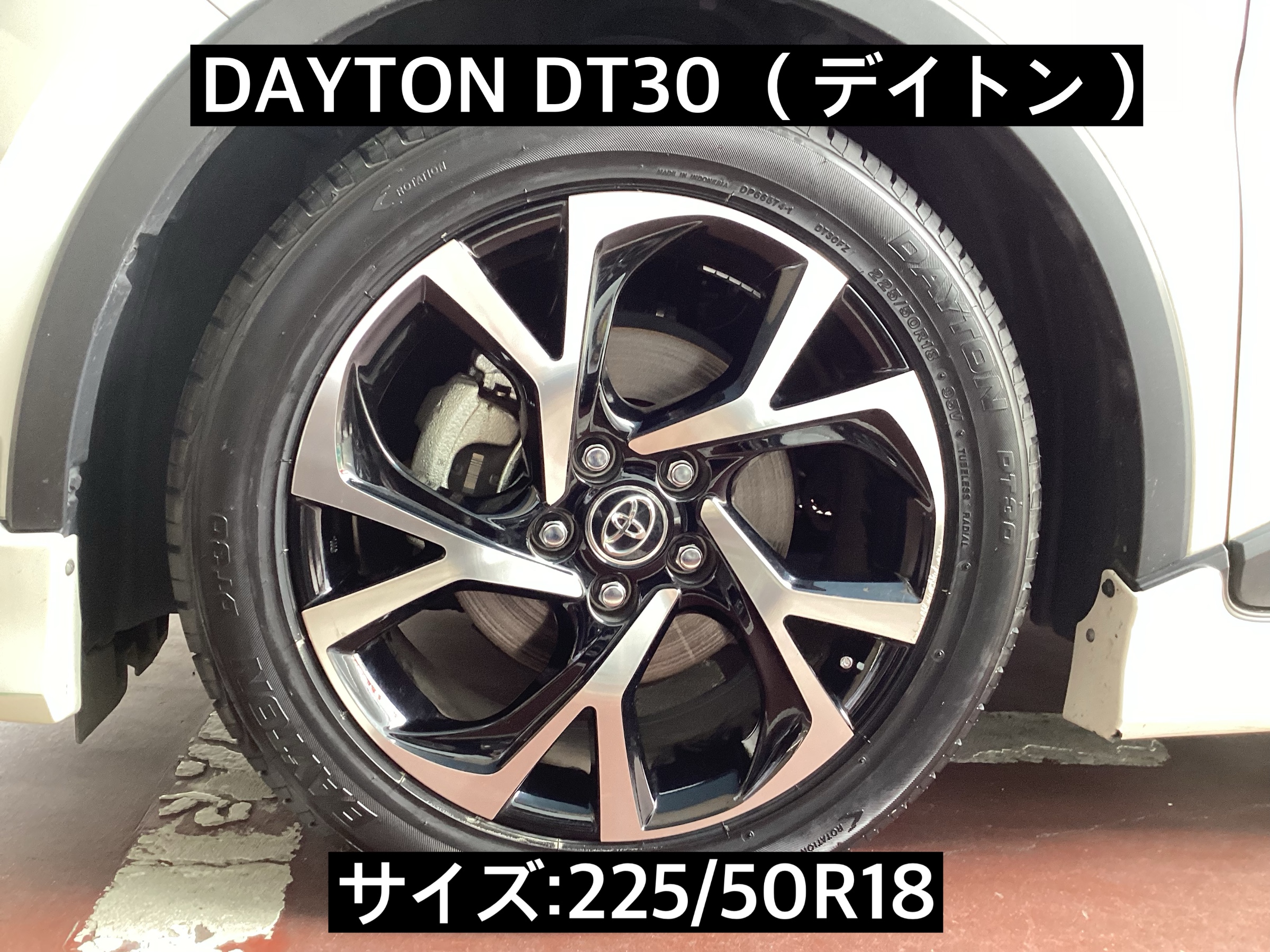 スタッフが撮影