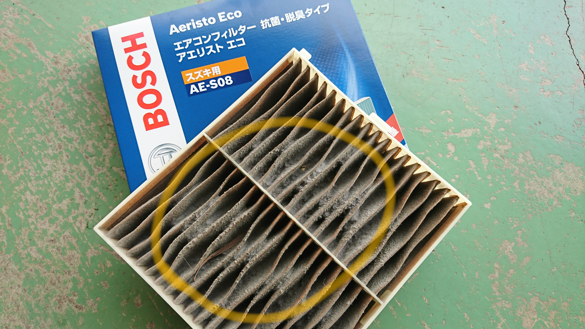 スタッフ撮影