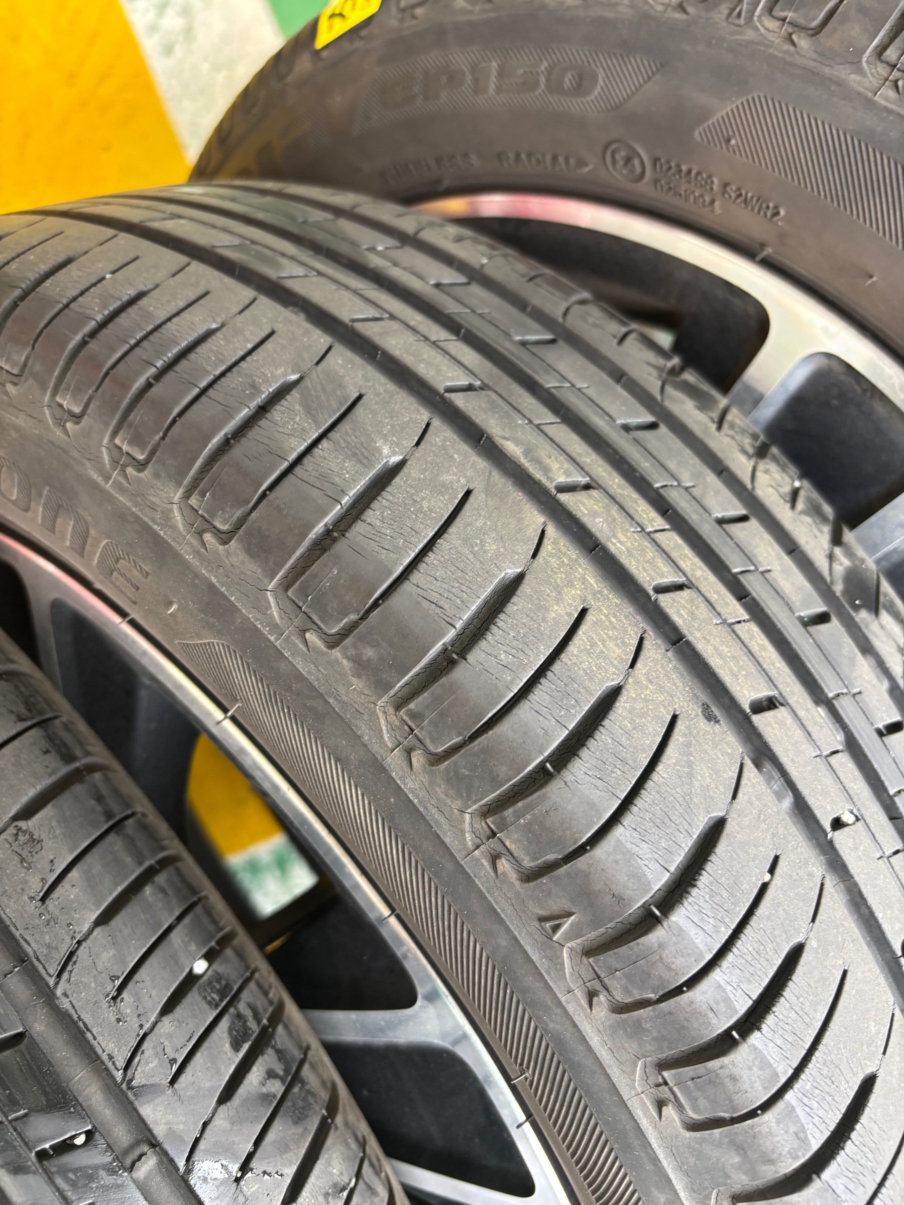 スタッフ撮影です