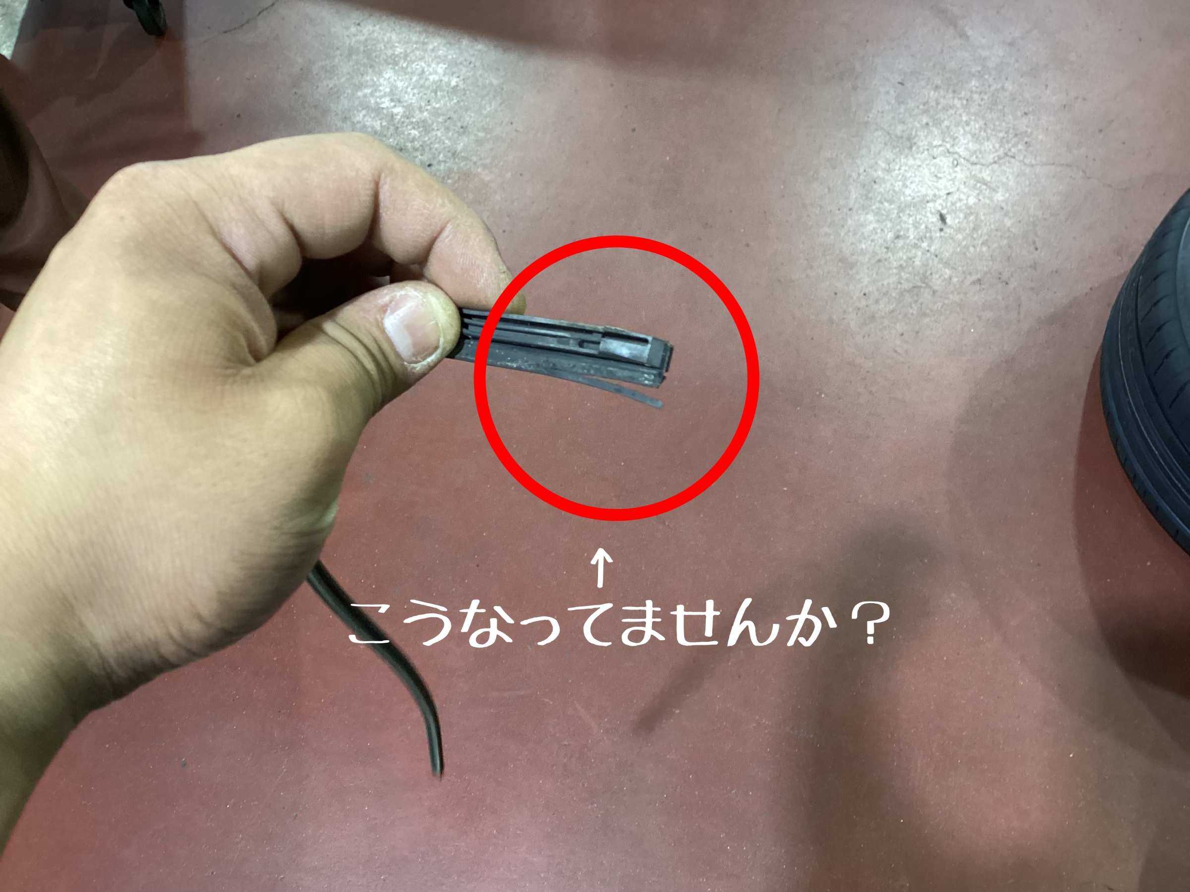 スタッフ撮影。無料画像編集アプリにて編集。