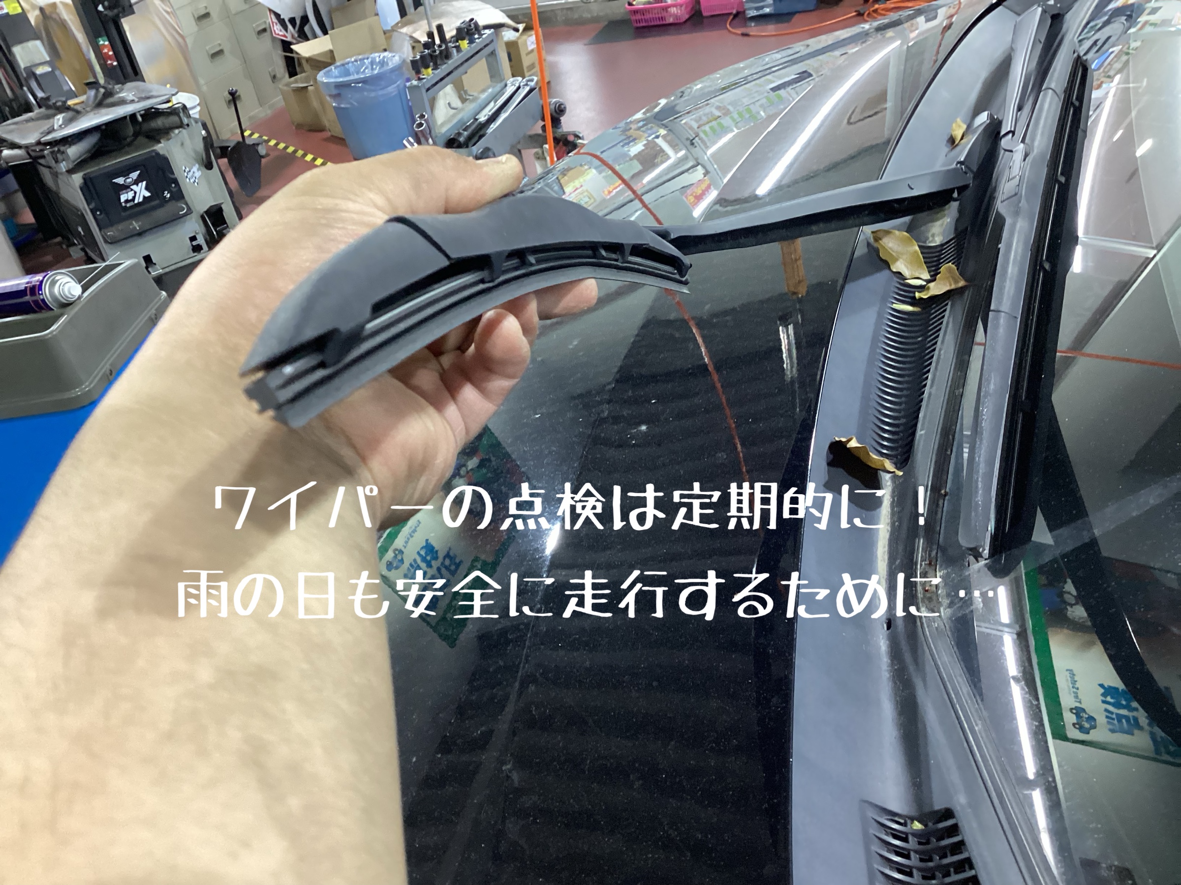 スタッフ撮影。無料画像編集アプリにて編集。