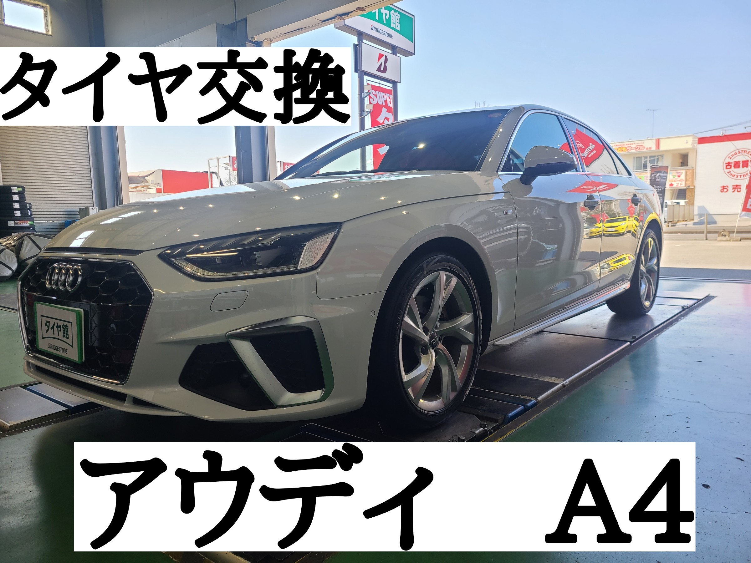 スタッフが撮影しました。