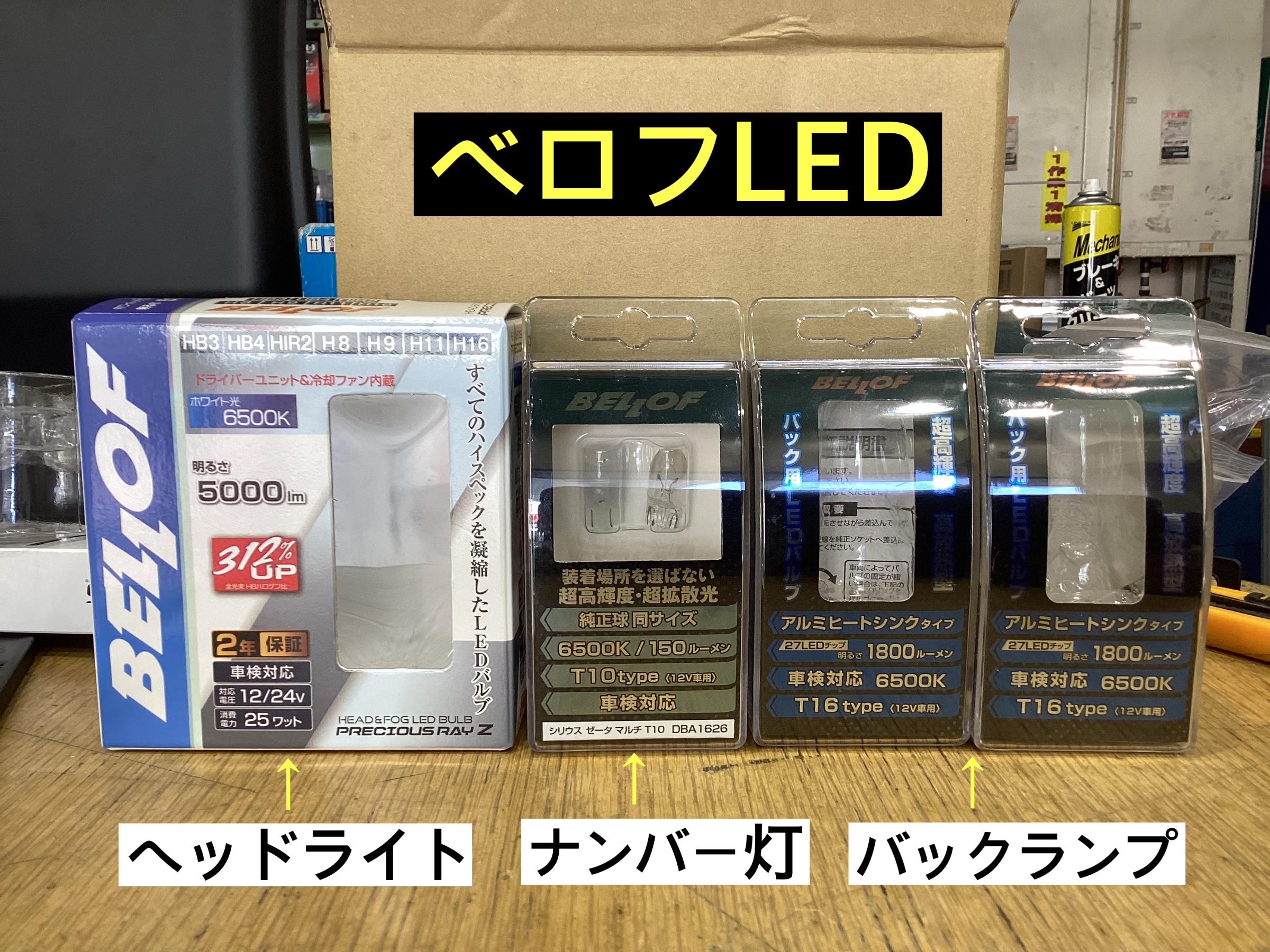 スタッフが撮影