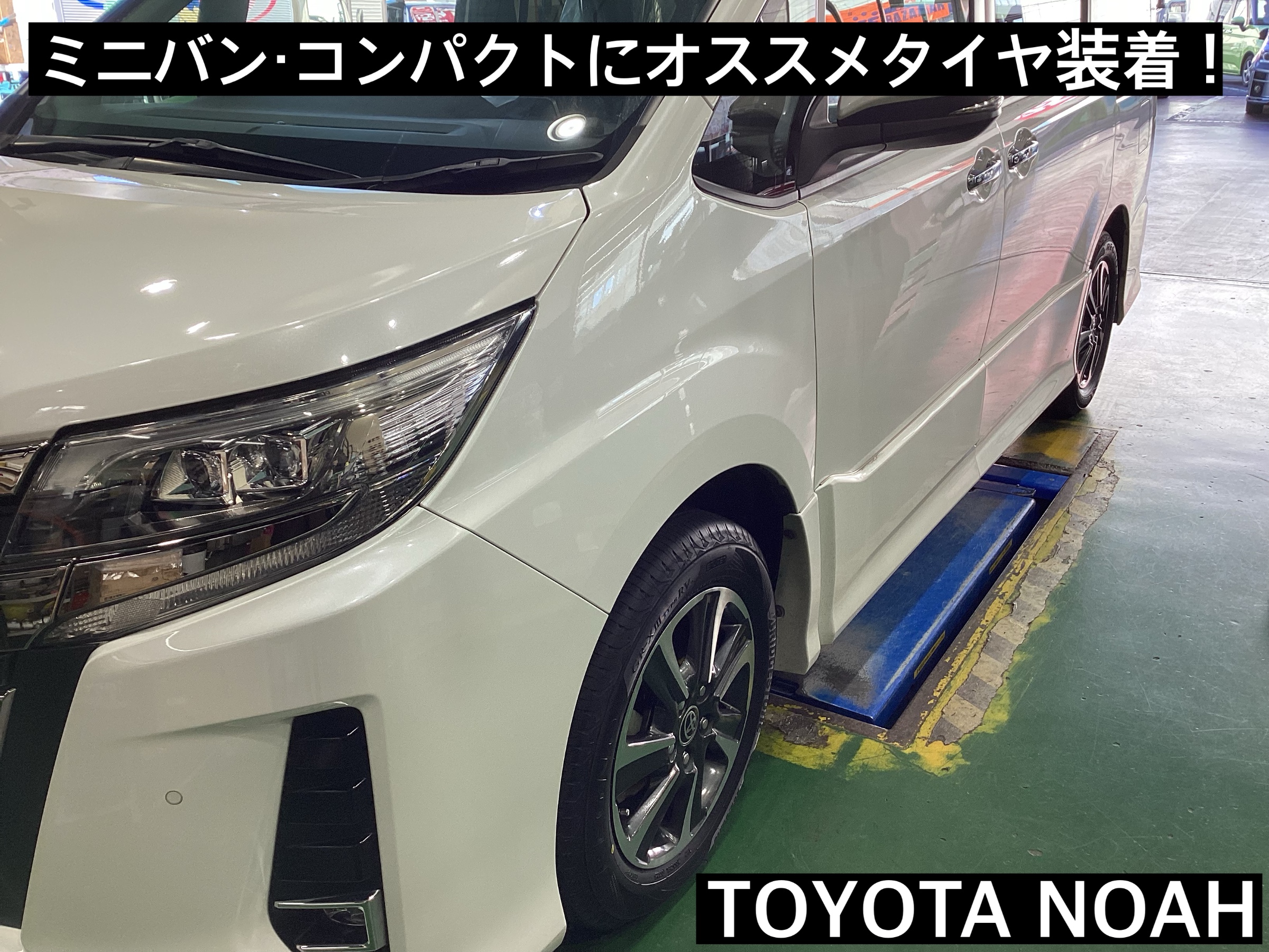 スタッフが撮影