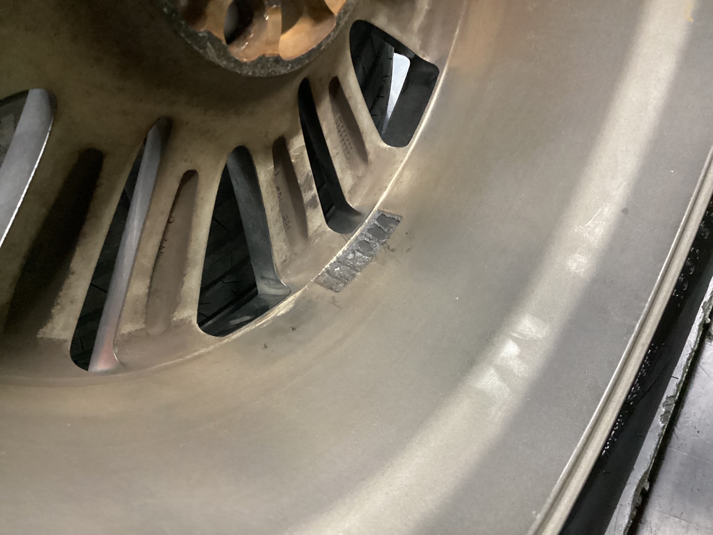 スタッフ撮影分