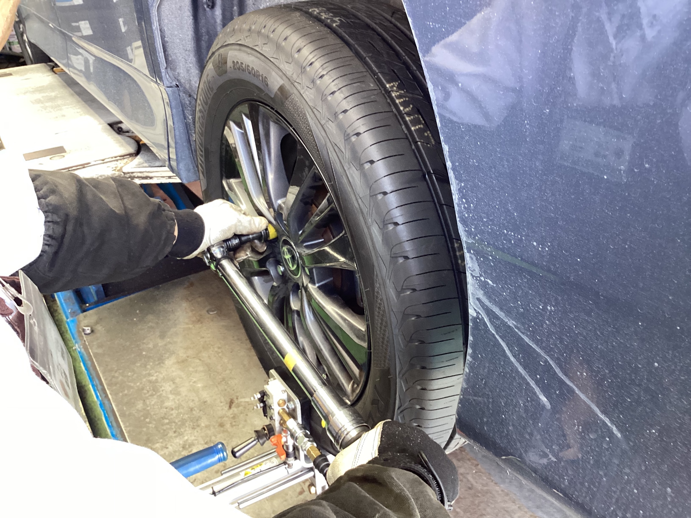 スタッフ撮影分