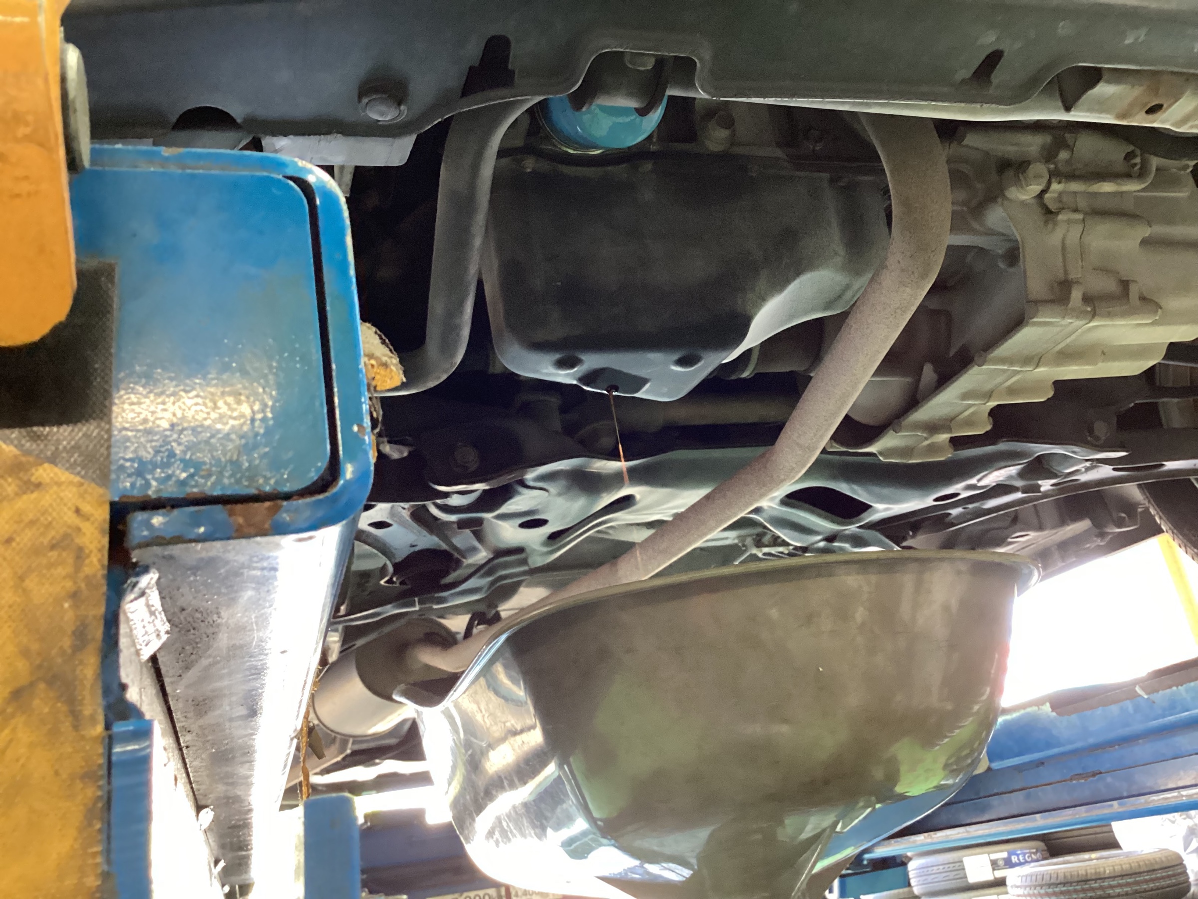 スタッフ撮影分