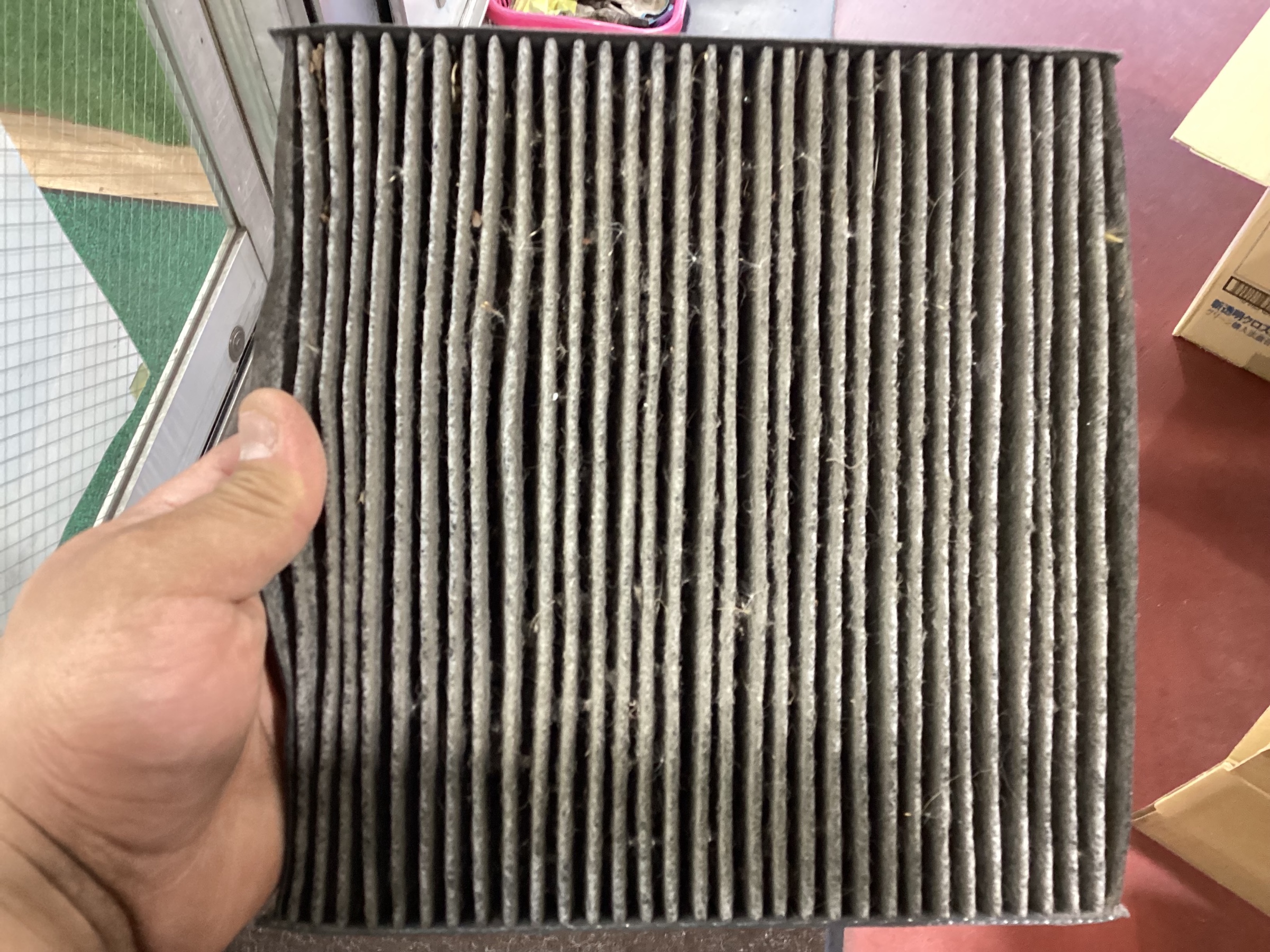 スタッフ撮影