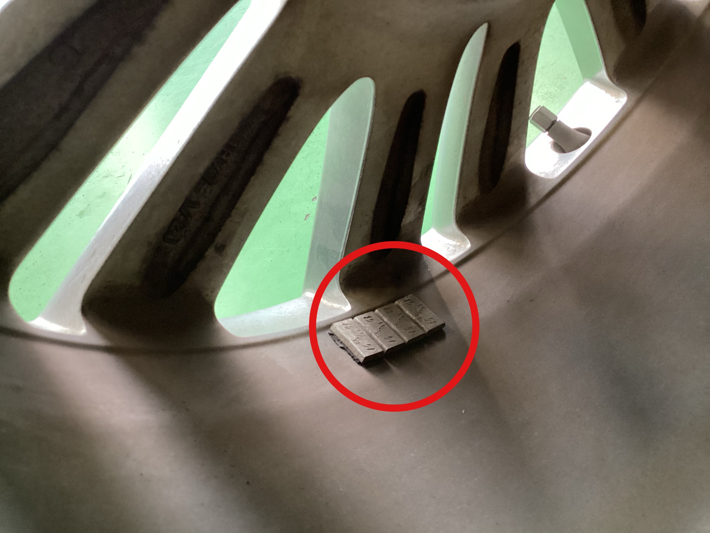 スタッフ撮影分