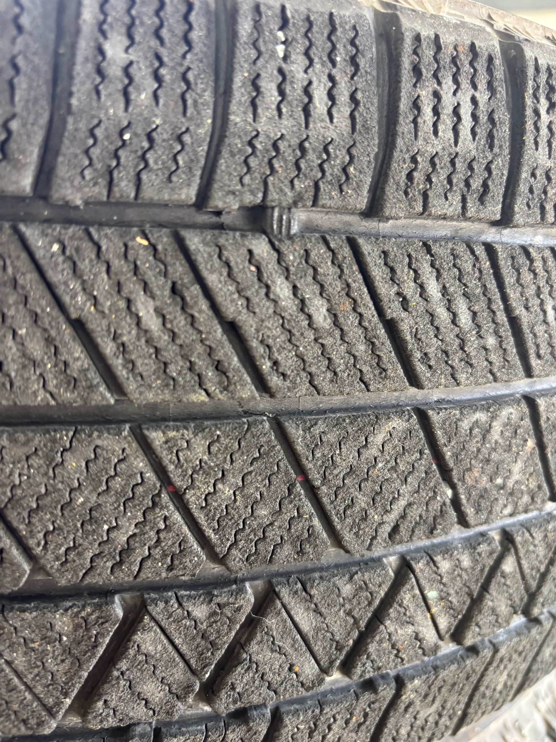 スタッフ撮影です