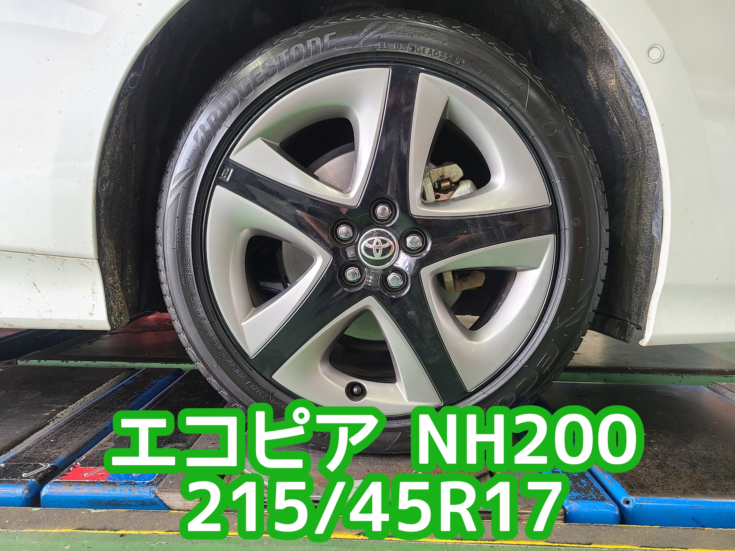 スタッフが撮影しました。