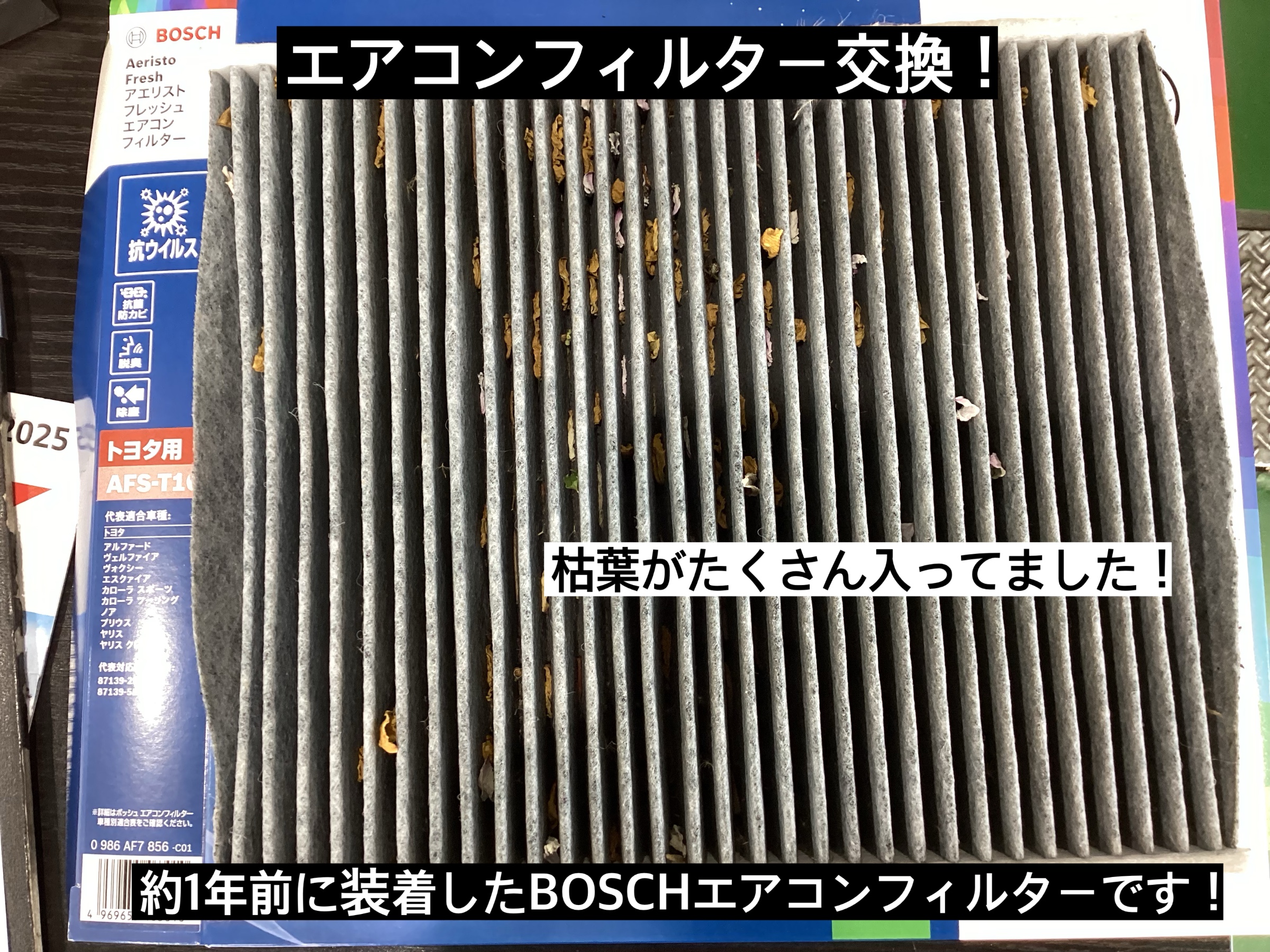 スタッフが撮影