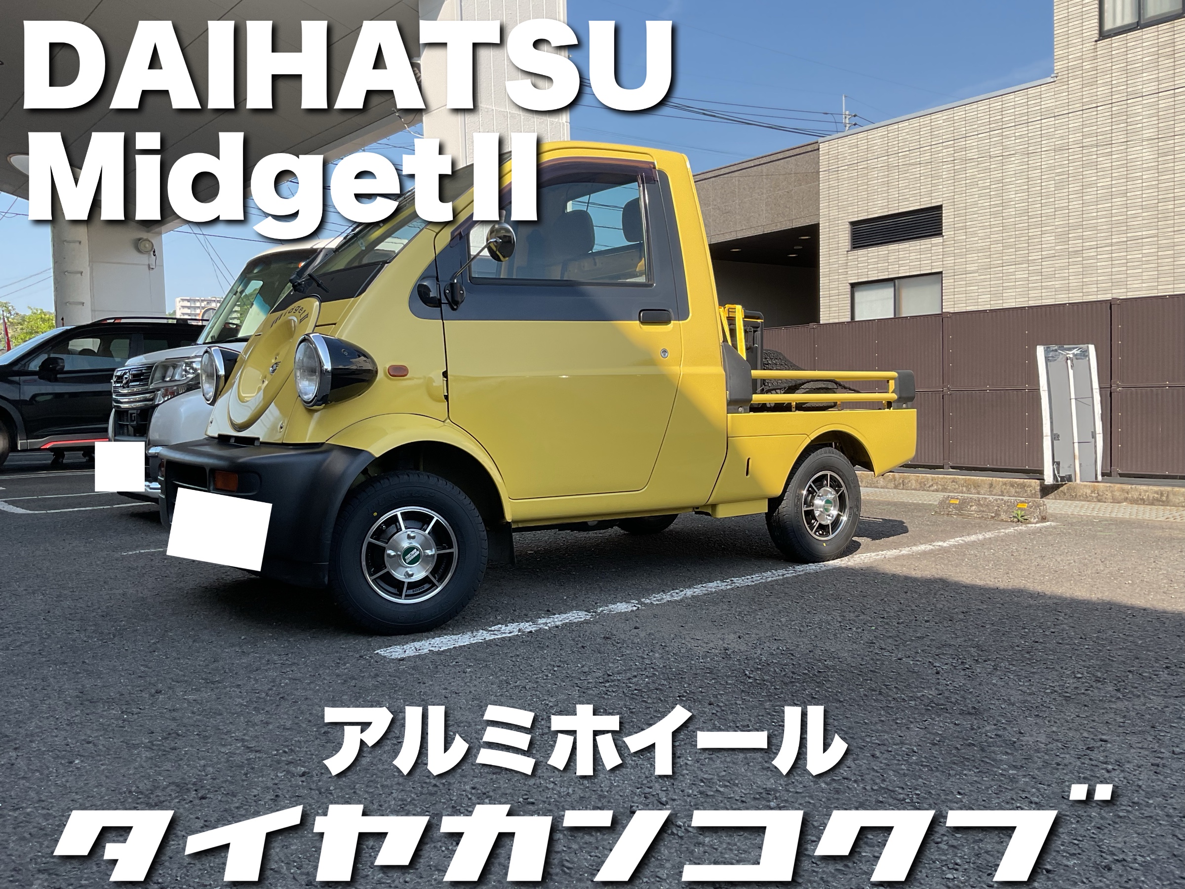 スタッフが撮影した画像