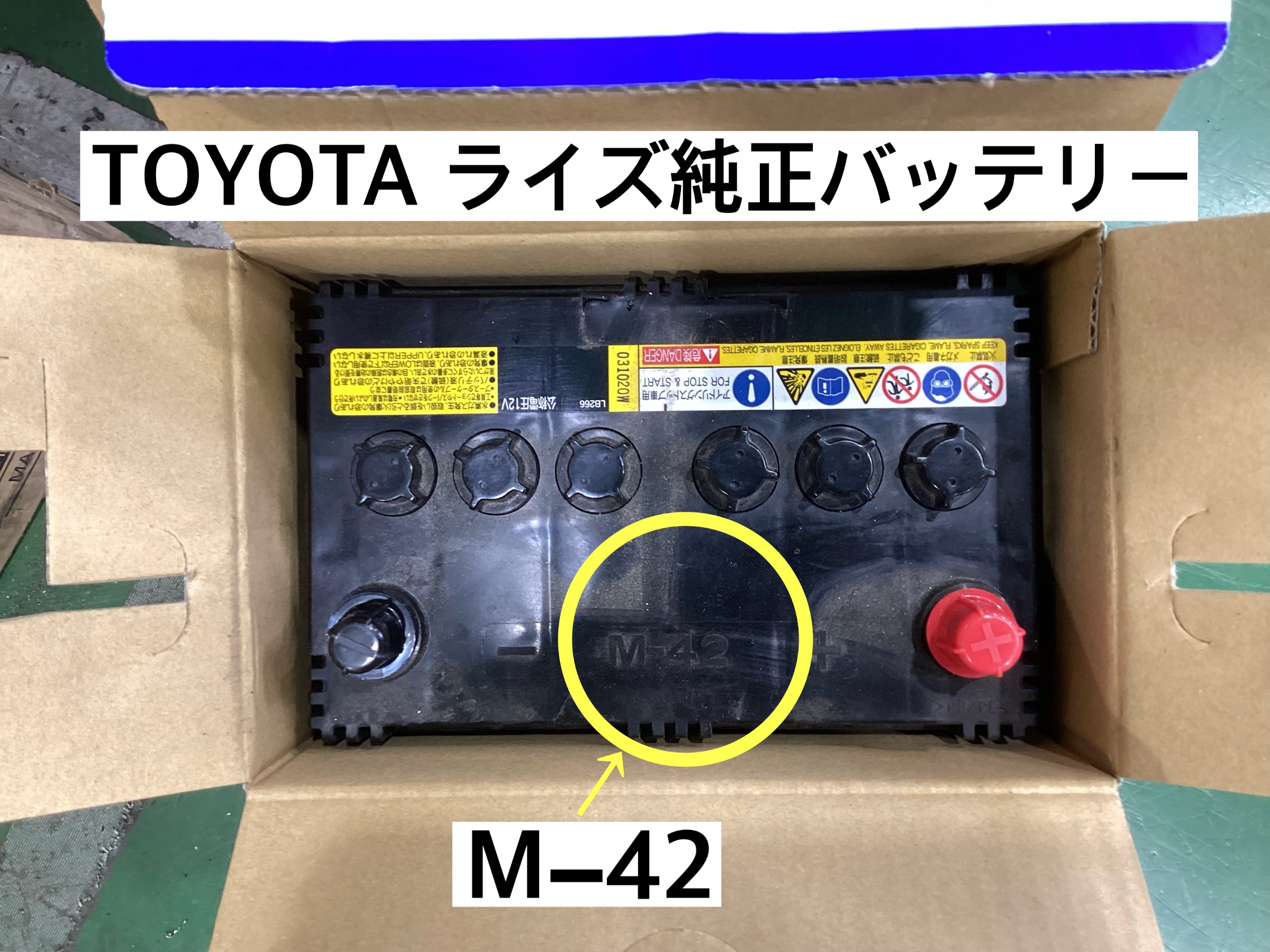 スタッフが撮影