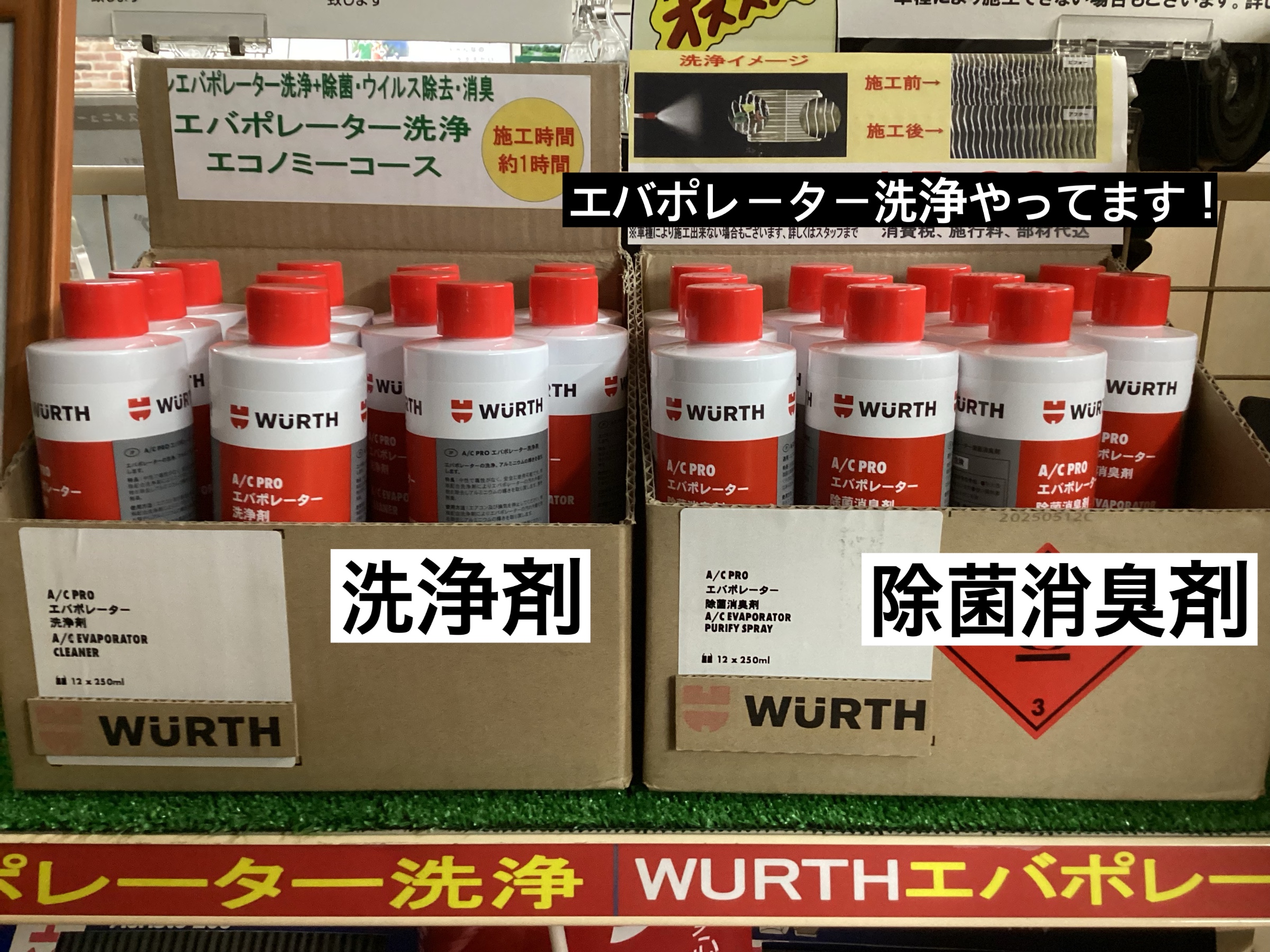 スタッフが撮影
