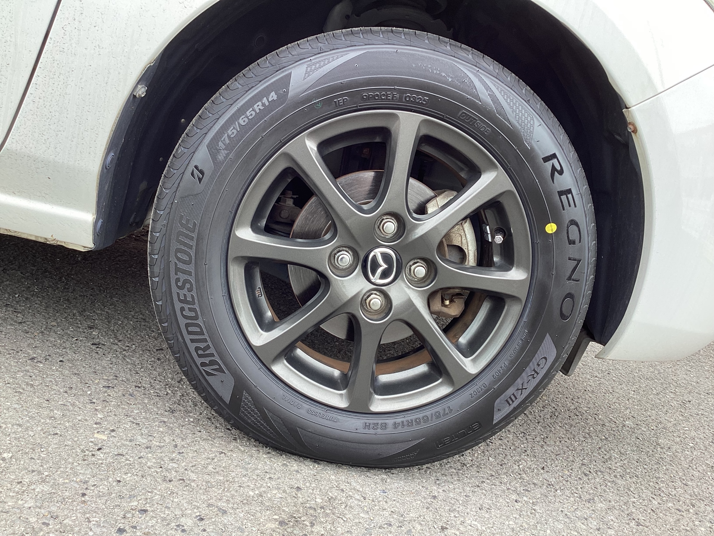 スタッフ撮影分