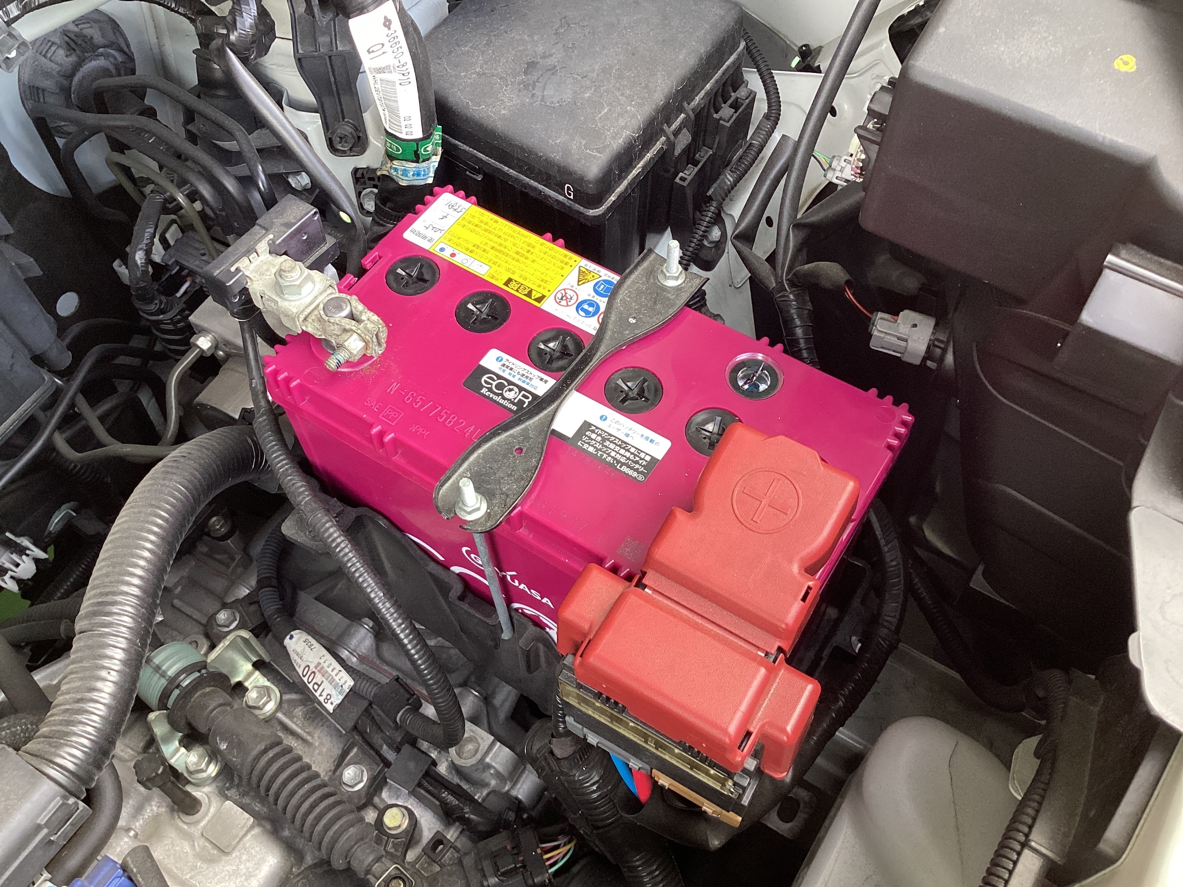 スタッフ撮影分