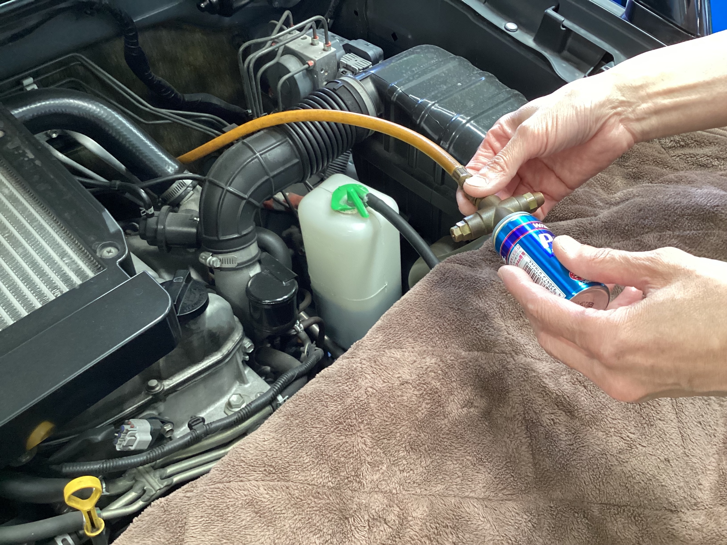 スタッフ撮影分