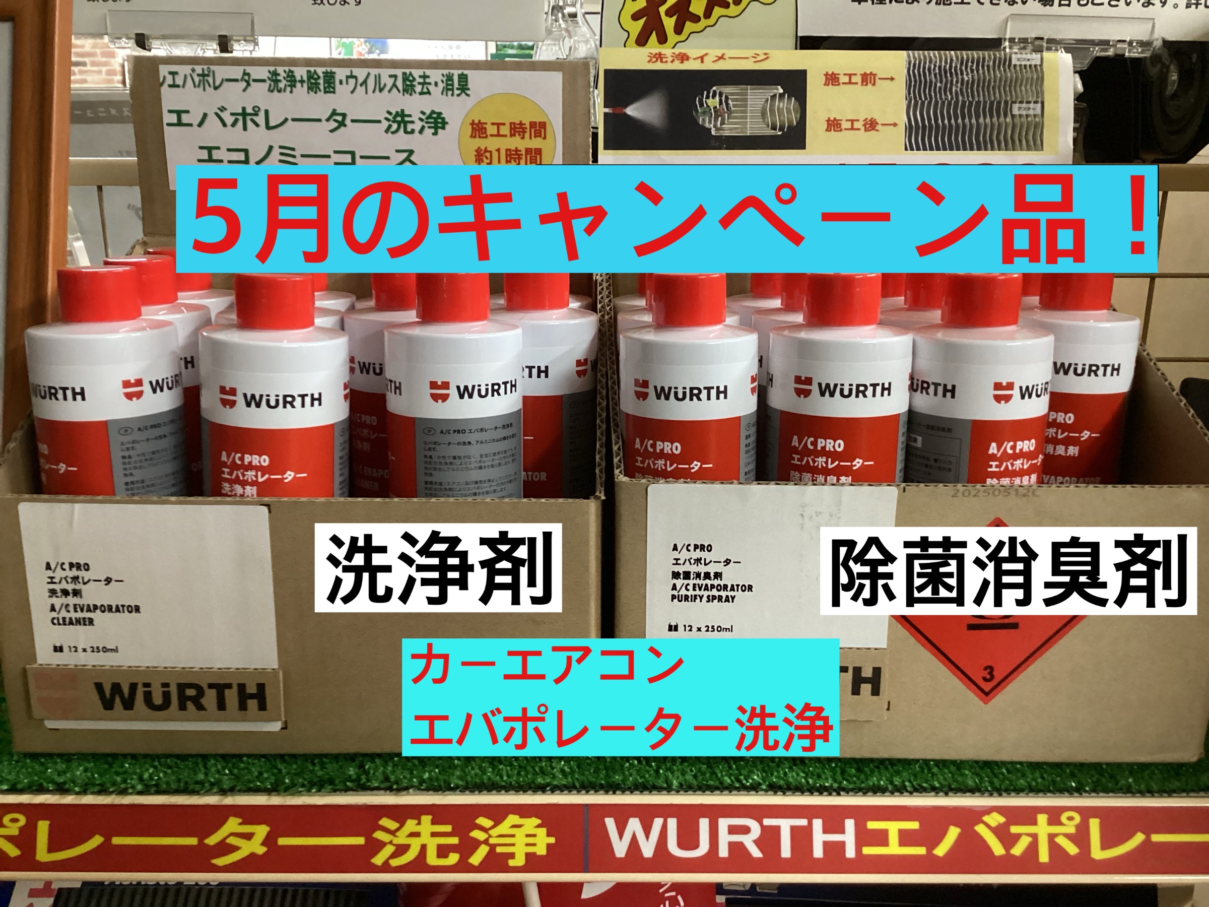 スタッフが撮影