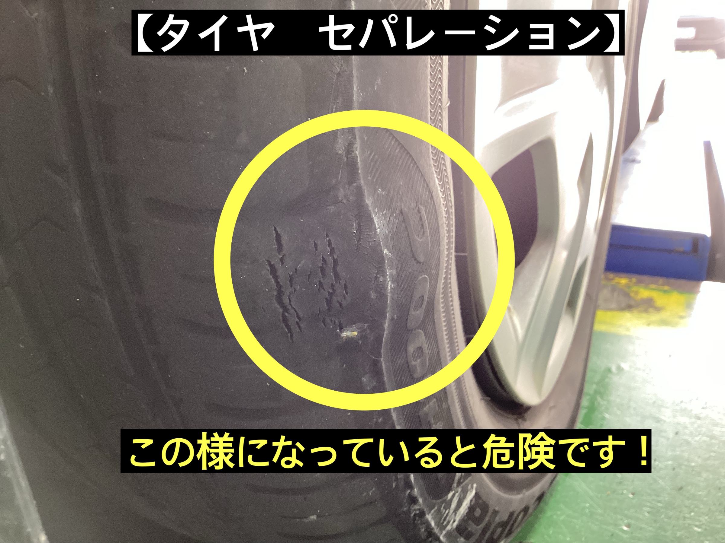 スタッフが撮影