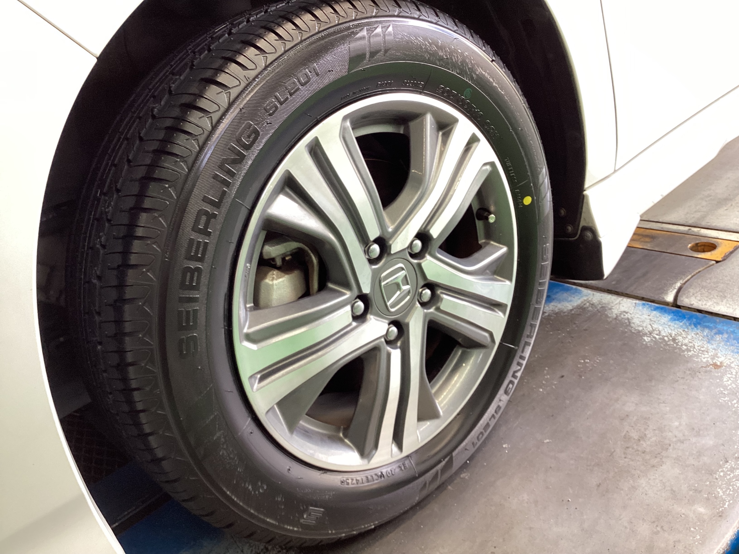 スタッフ撮影分