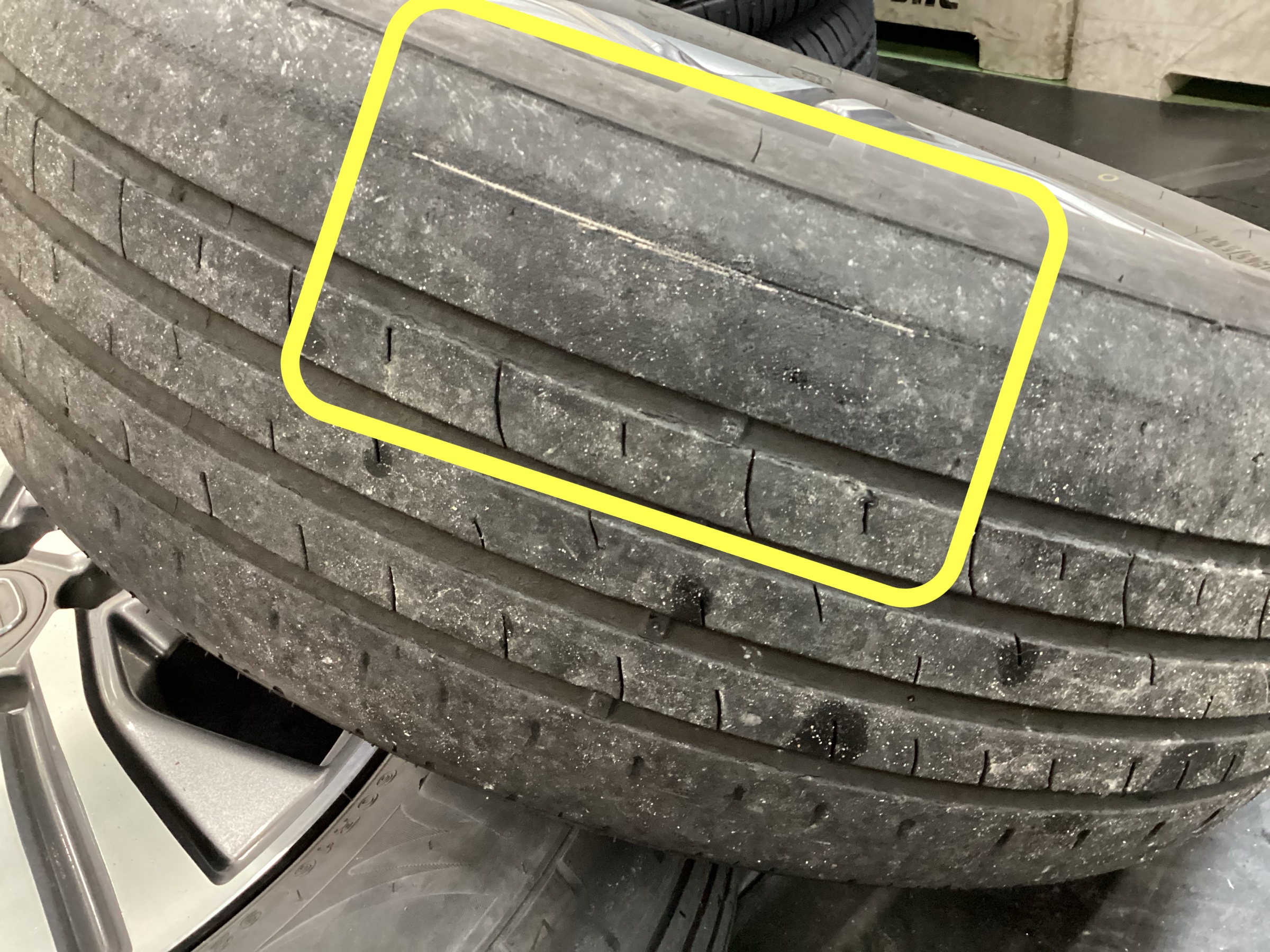 スタッフ撮影分