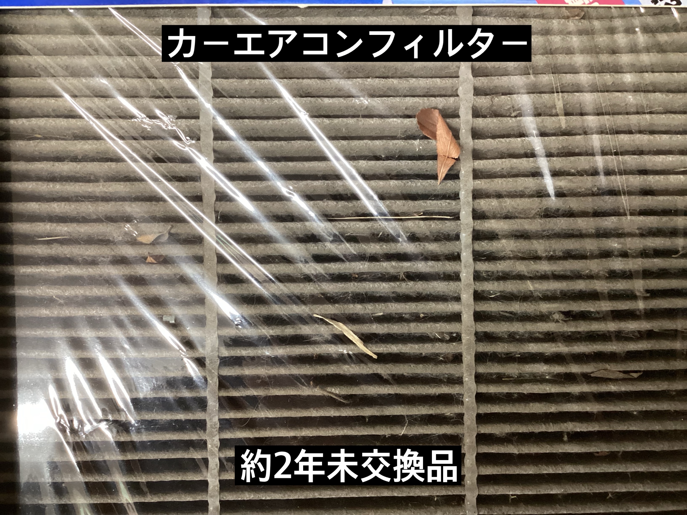 スタッフが撮影