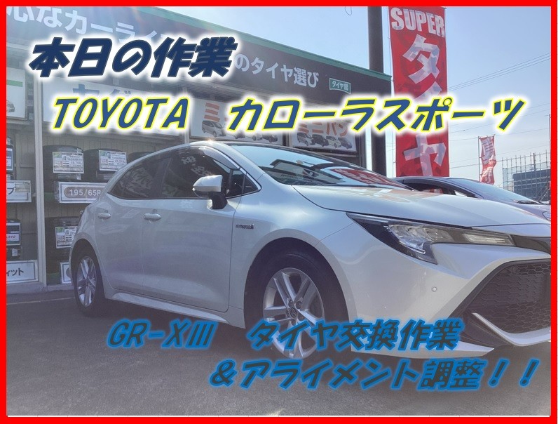 スタッフが撮影
