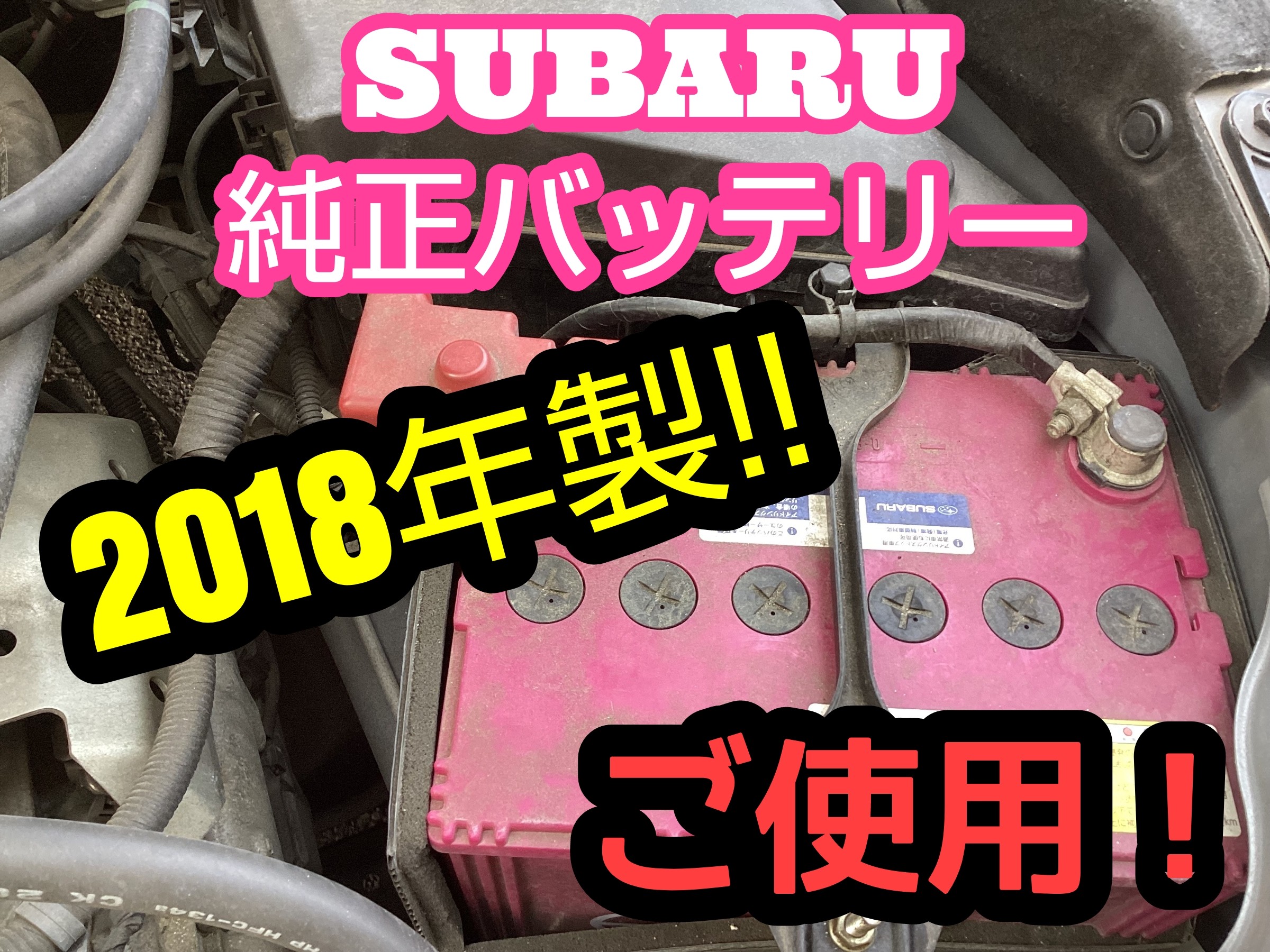 スタッフ撮影