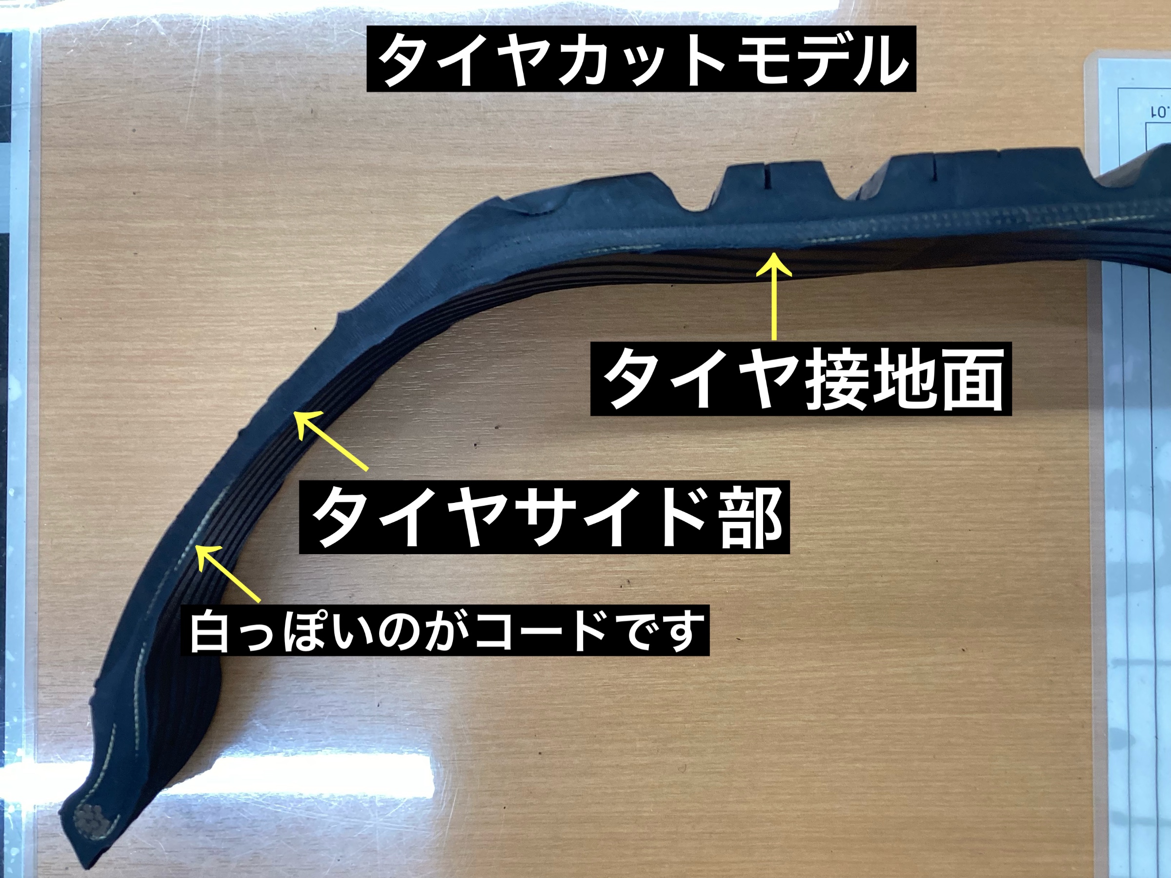 スタッフが撮影